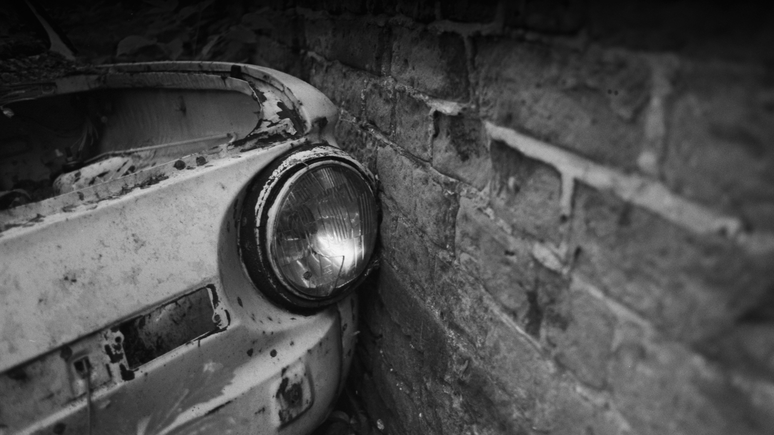 Пленочная история. Дмитрий Пропадалин, Нейрофотография