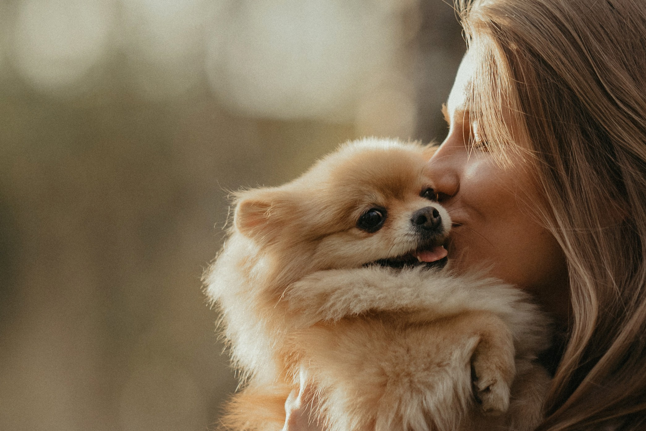 Real moments between people and their dogs