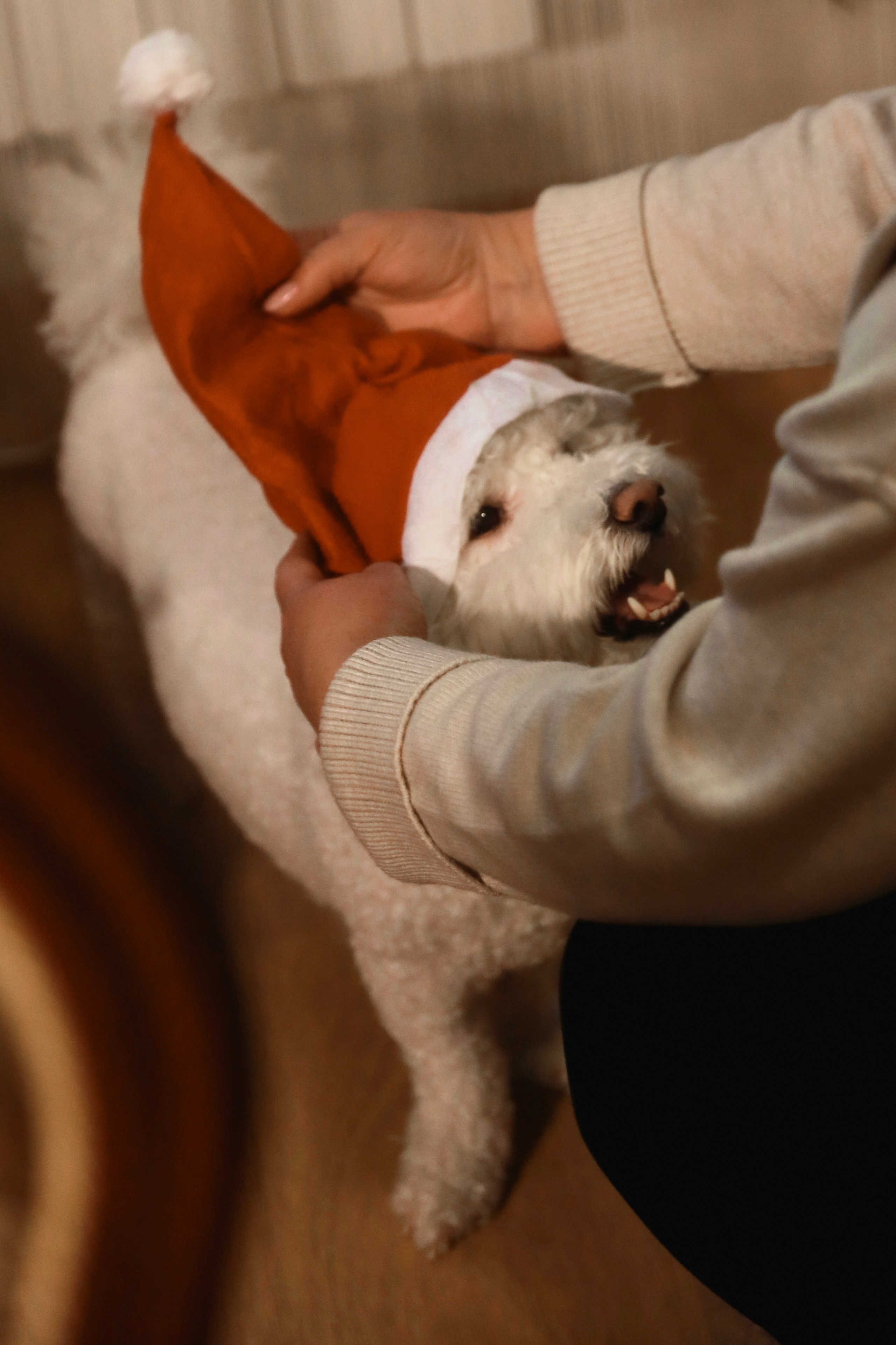 Под Новый год. Семейный и свадебный фотограф Лилия Матонина | Ангарск, Иркутск, Усолье-Сибирское, Байкал (Листвянка, Ольхон), Иркутская область