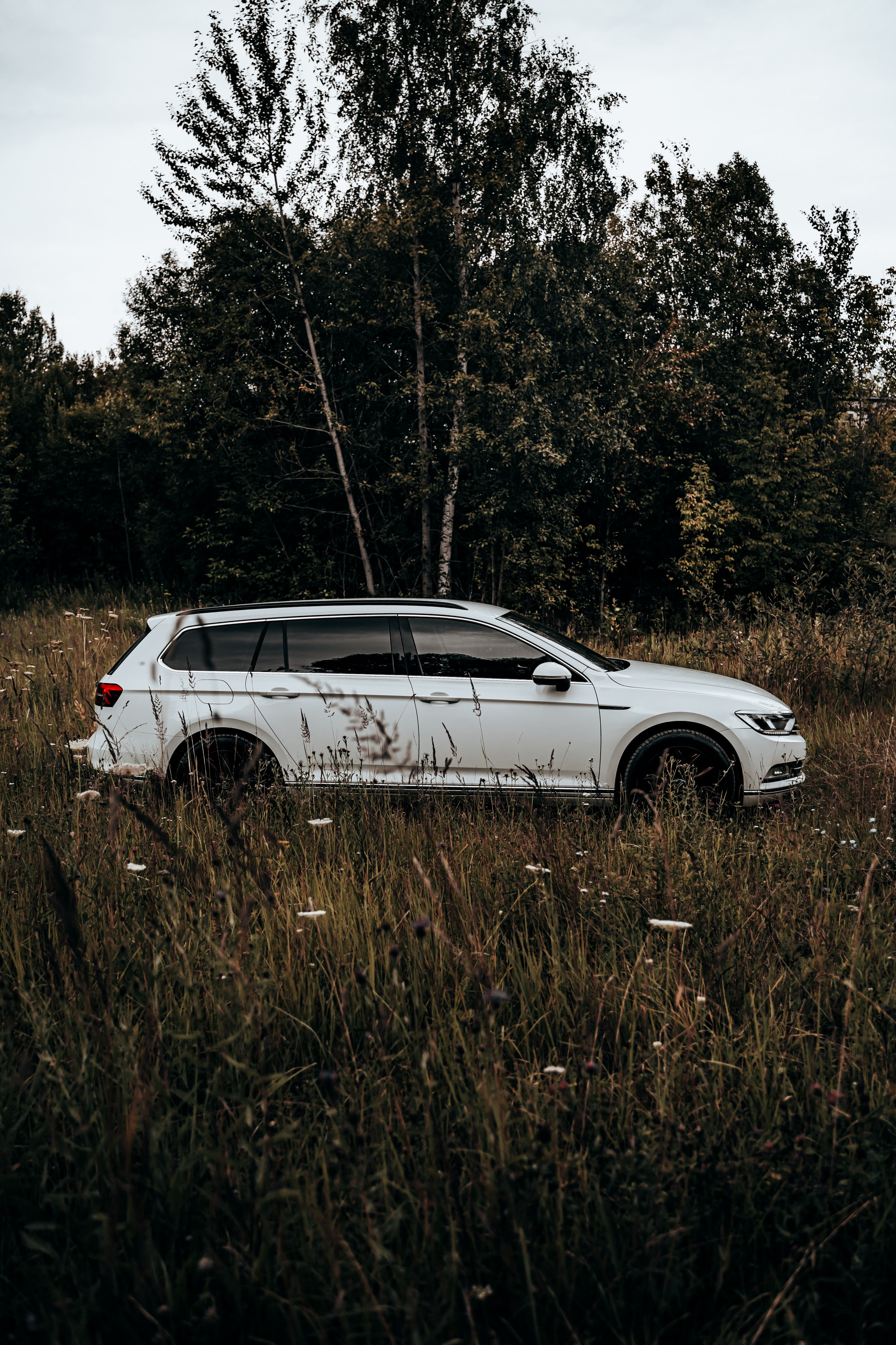 VW Passat B8 Project. Vlad Trykov