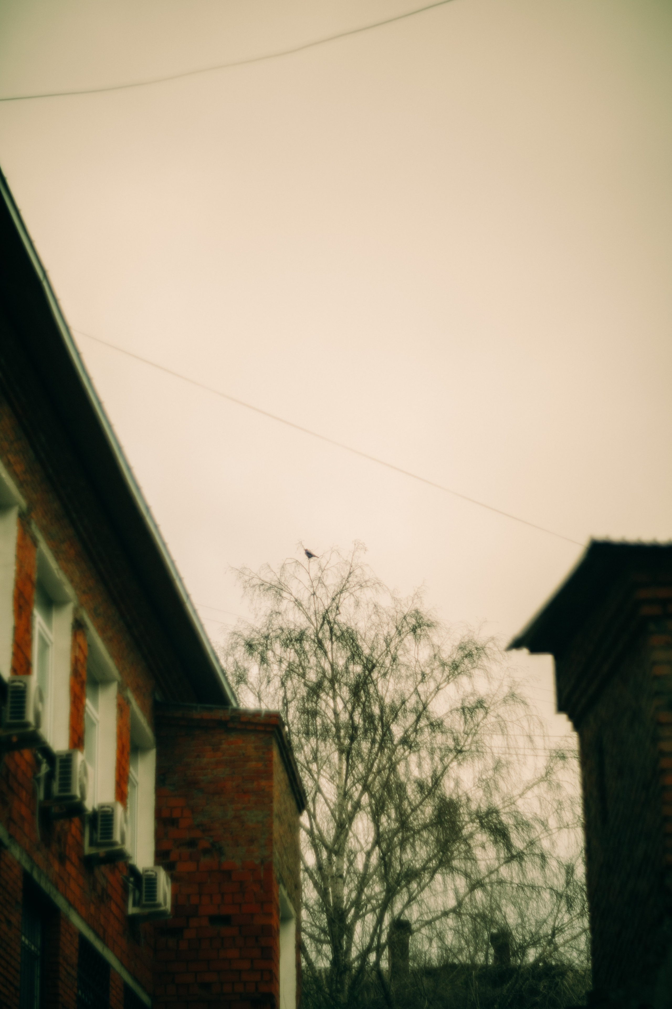 Вета. Женский семейный фотограф Тула Москва Захарова Анна