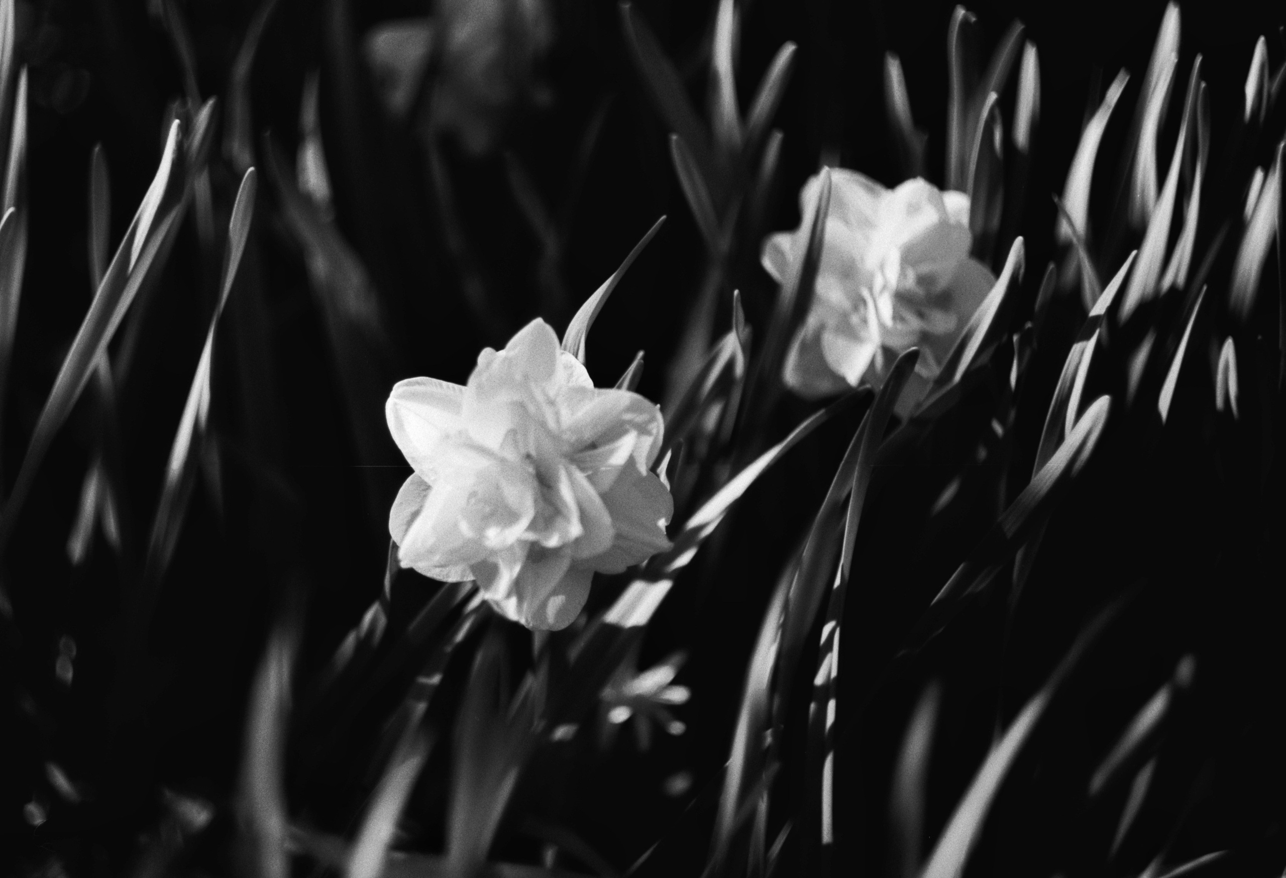 Контакты. Фотограф в Москве Повеквечных Софья