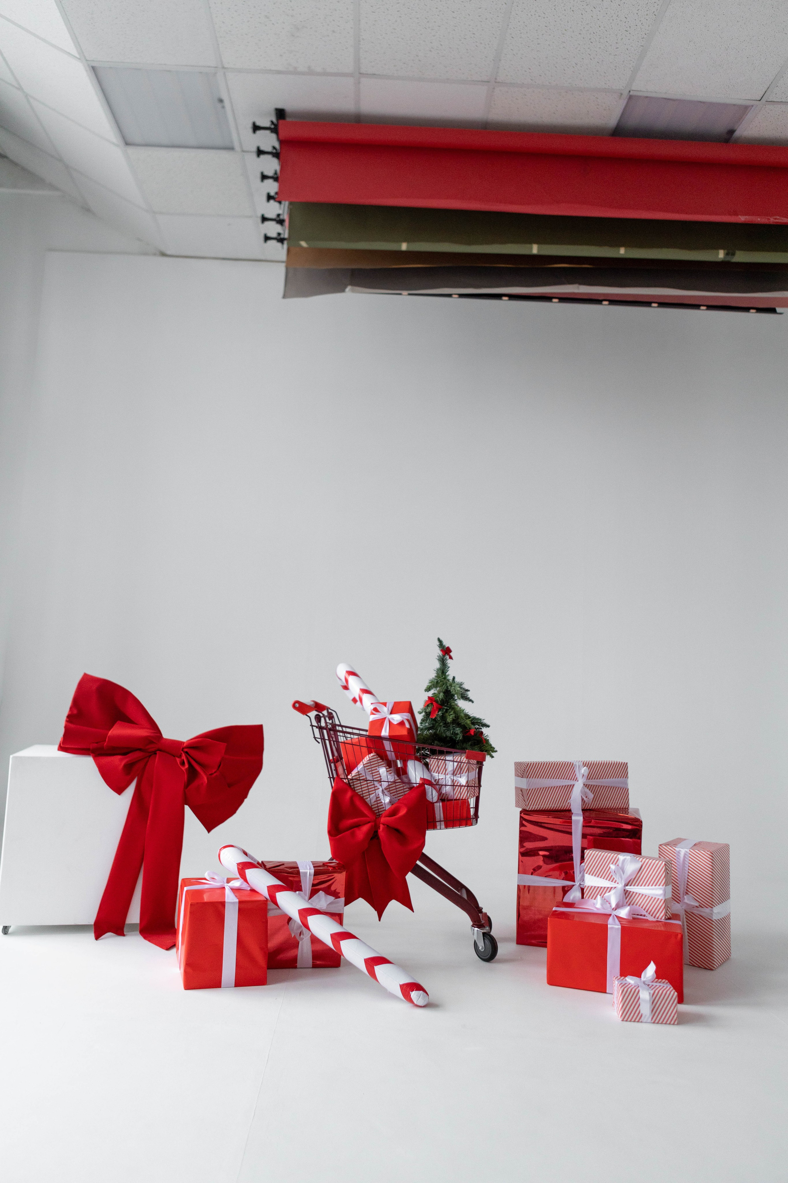 Студия F. Фотограф г. Хабаровск. Семейные и индивидуальные съёмки