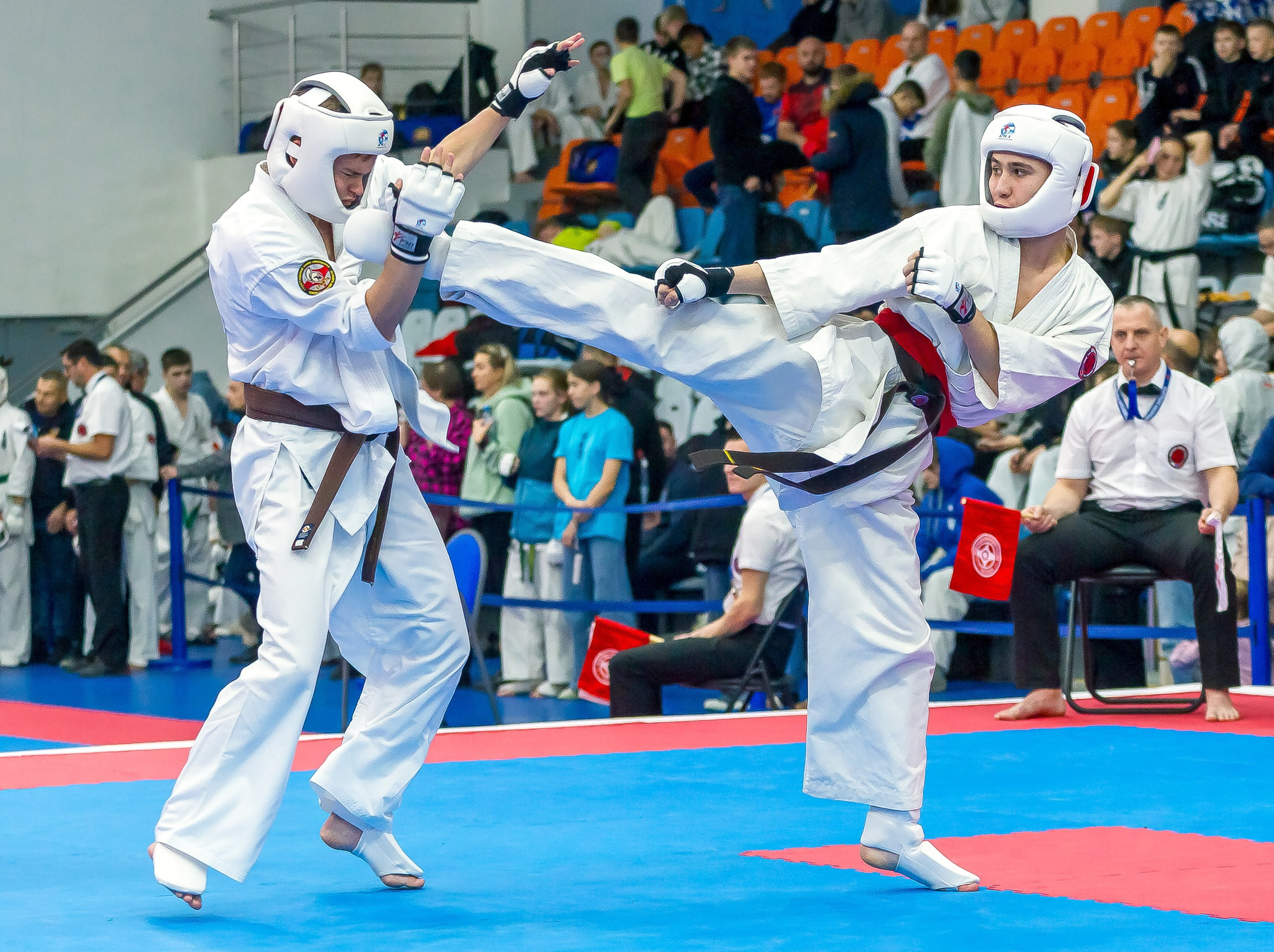 Соревнования по Киокушин памяти С. Увицкого. Репортажная съемка в Москве и области. Анималистика