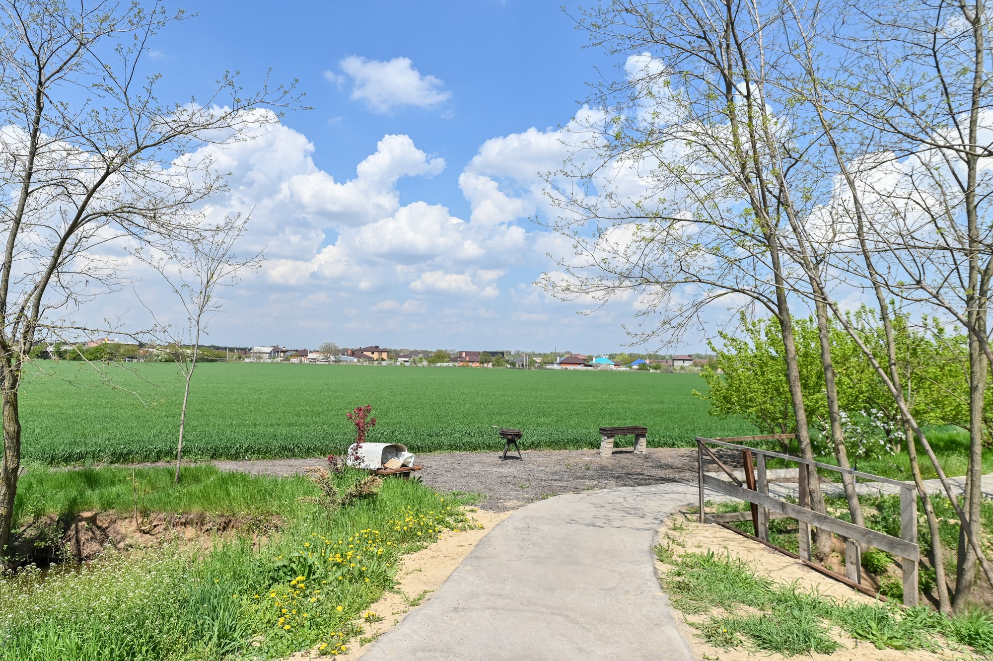 База Тургенев