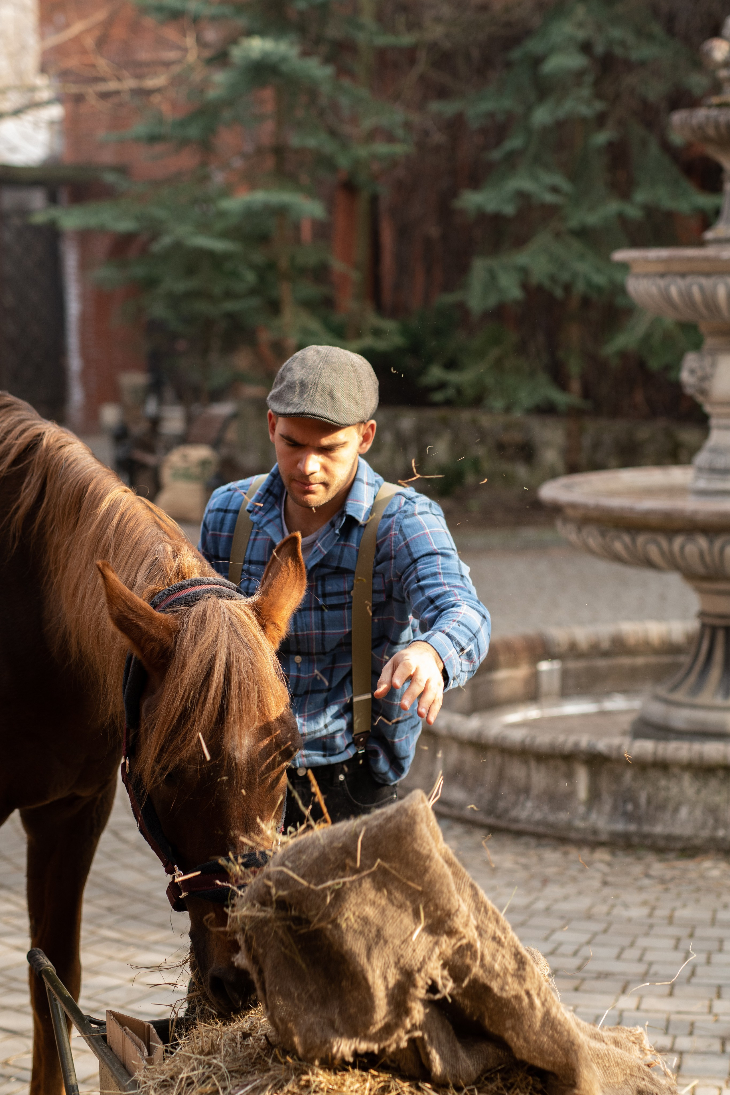 Фотосессия с лошадьми. Главная