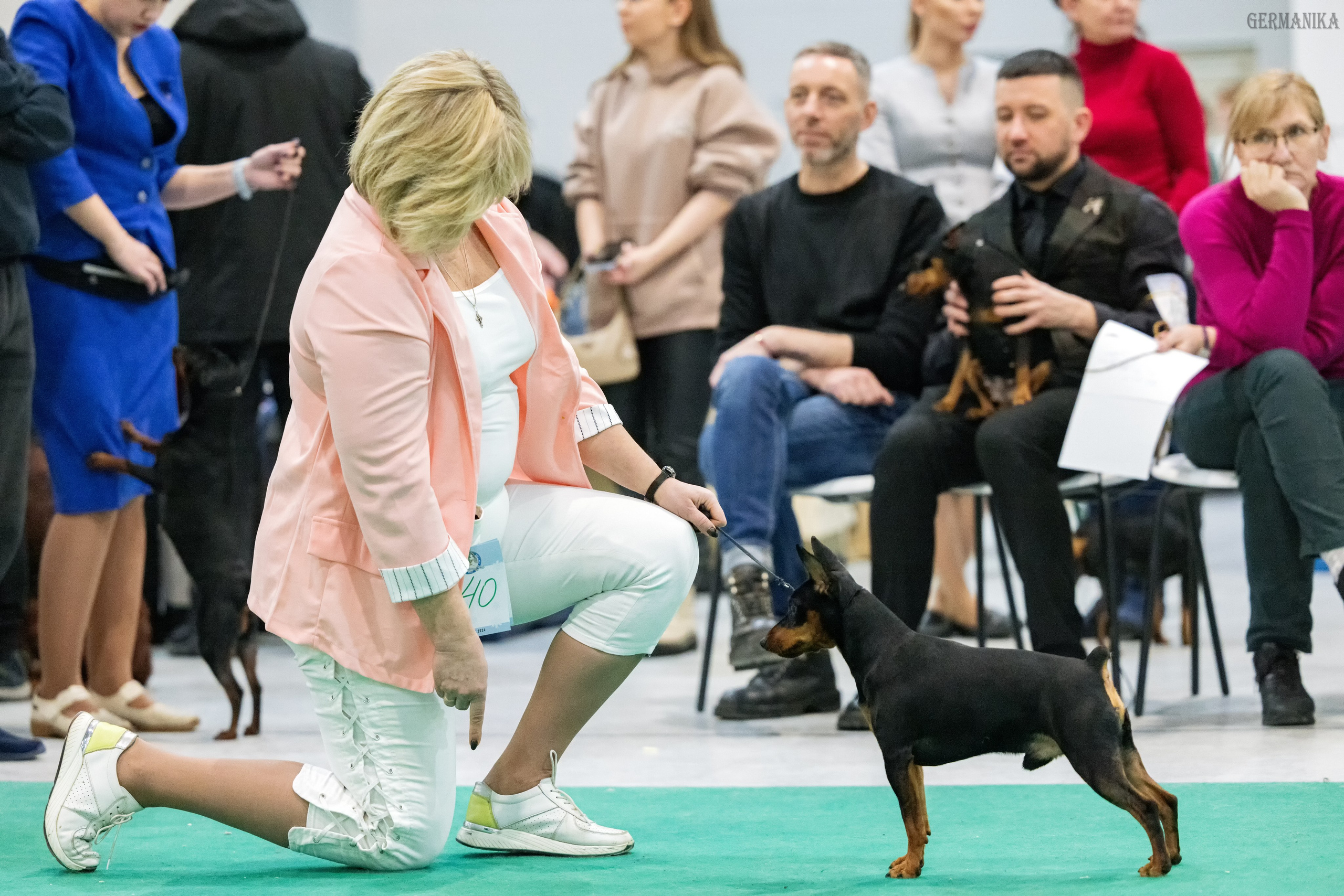 Сабанеевка 26-27.01.2024. Фотограф-анималист Юлия Германика