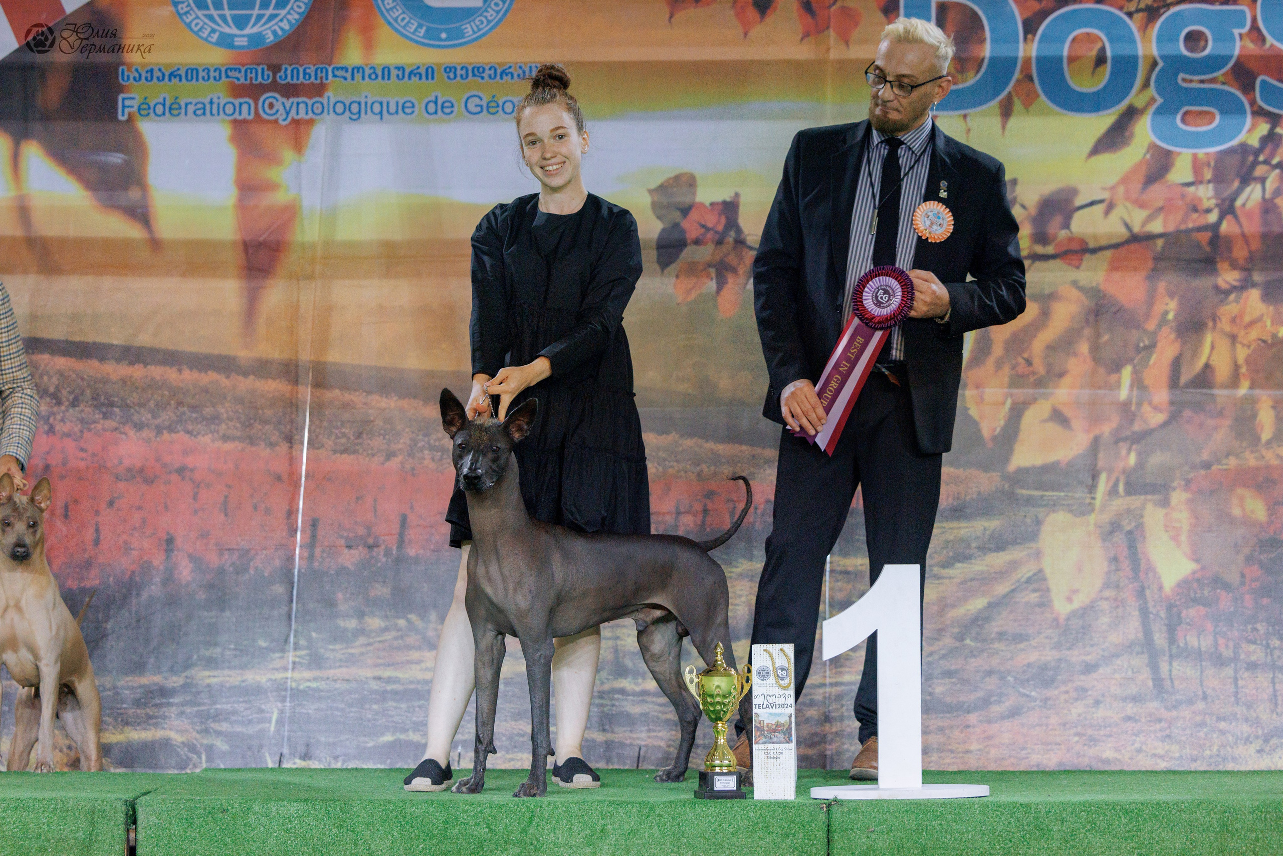 Грузия,Телави 2хCACIB 19-20.10.2024. Фотограф-анималист Юлия Германика