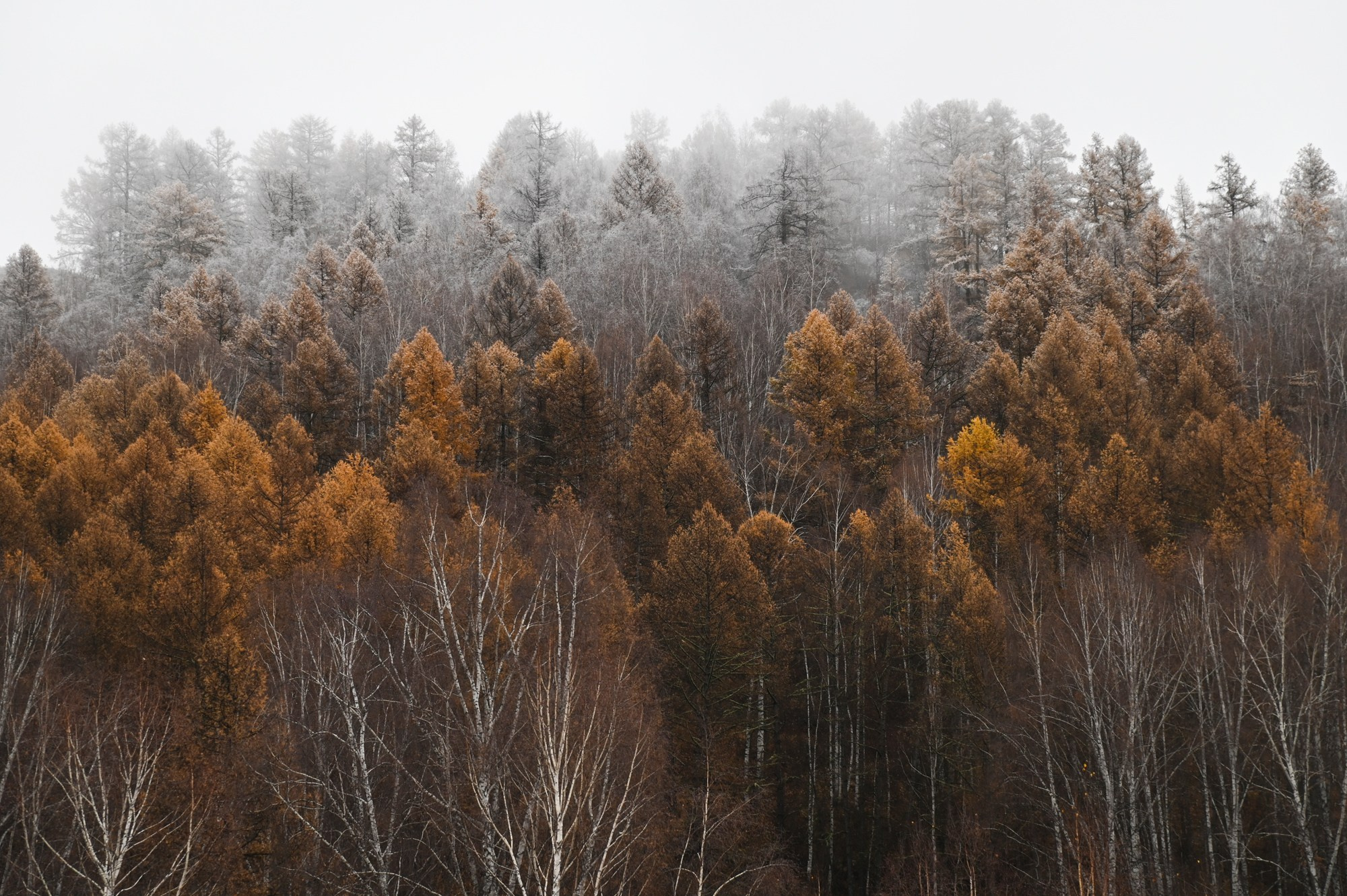 Состояния природы. Профессиональный пейзажный фотограф Алёна Рубан