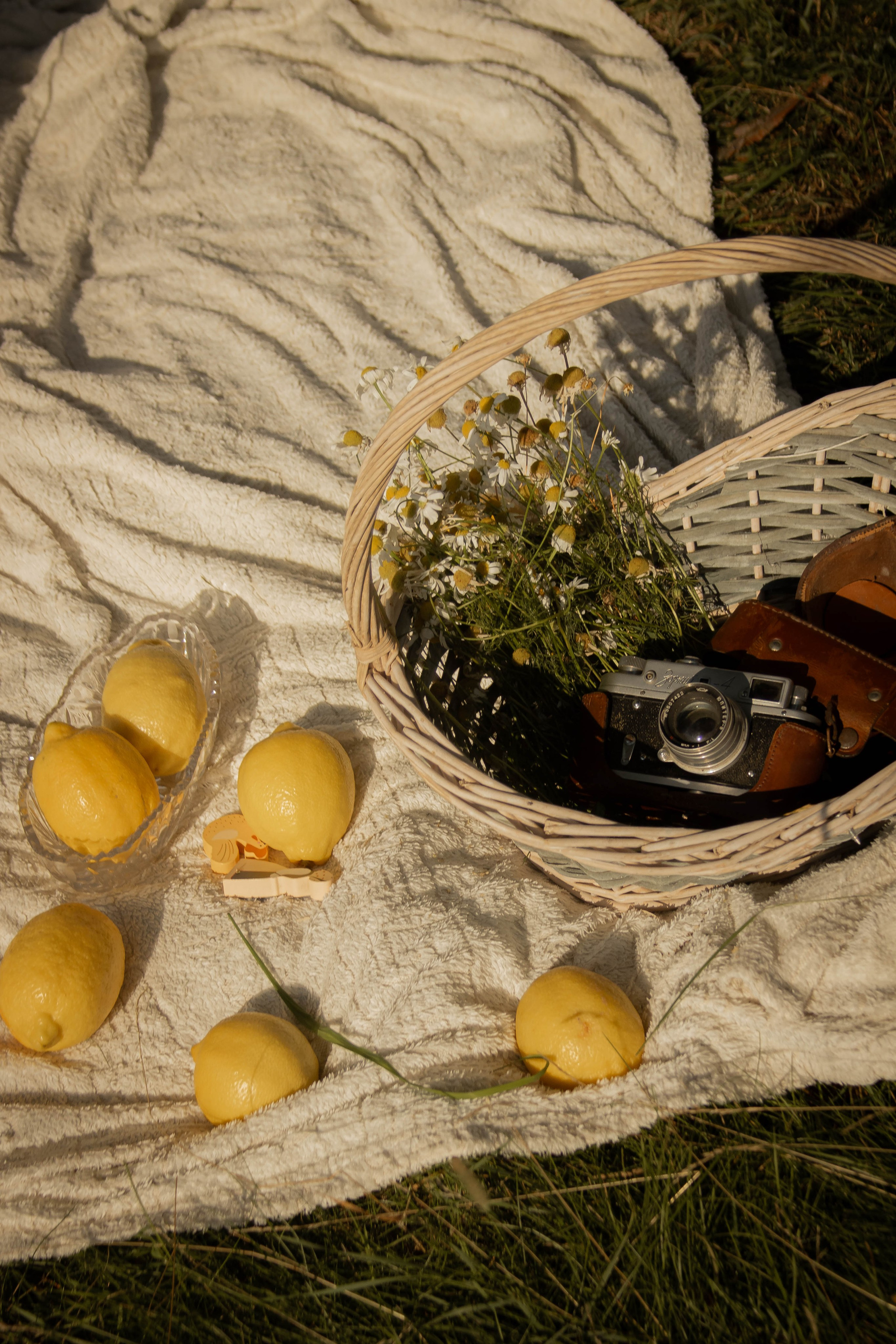 Наедине с природой. Семейный и детский фотограф в Павловском Посаде Сарапкина Наталья