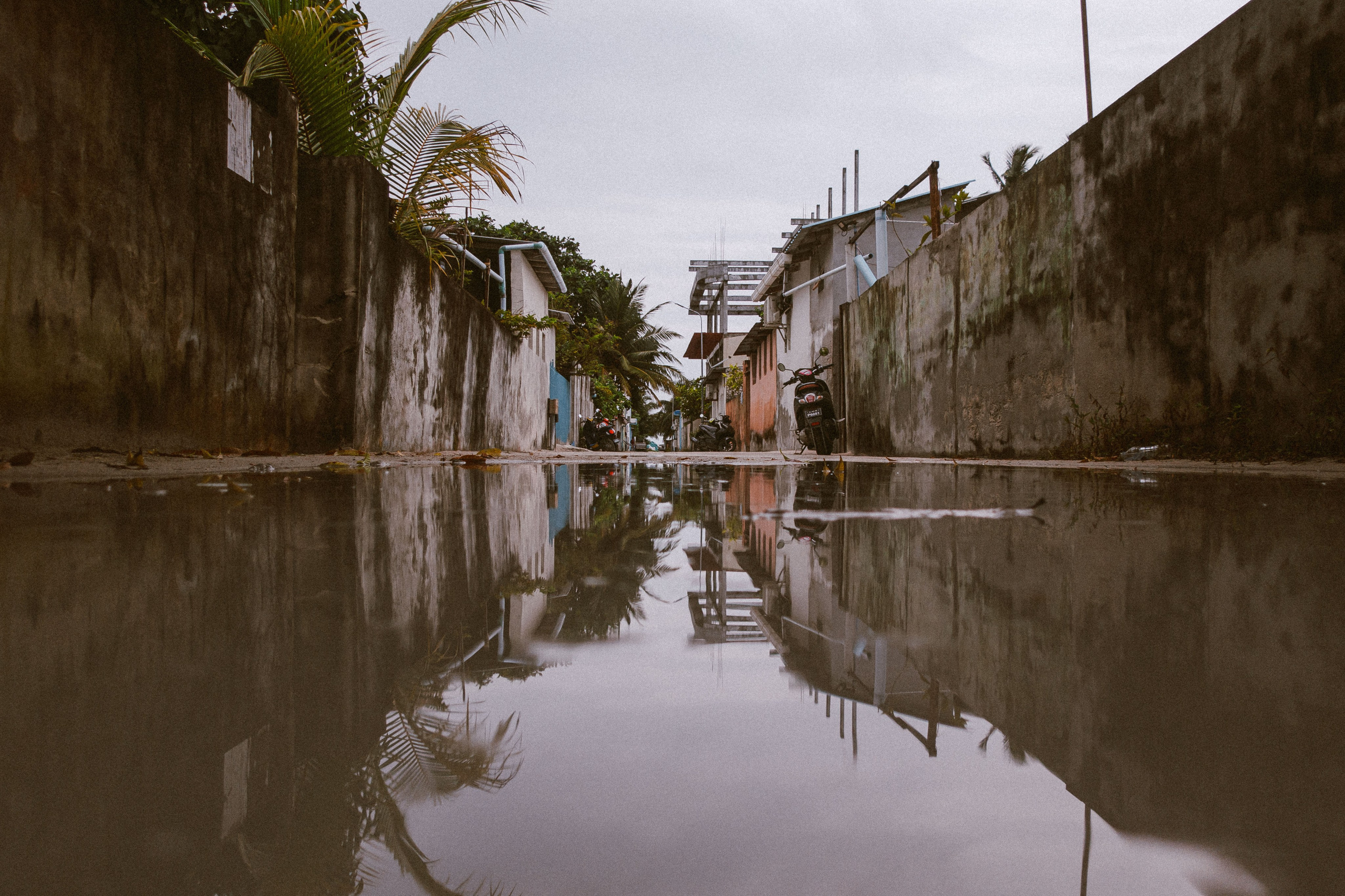 О.Тулусду. Мальдивы. Фотограф Светлана Голицына