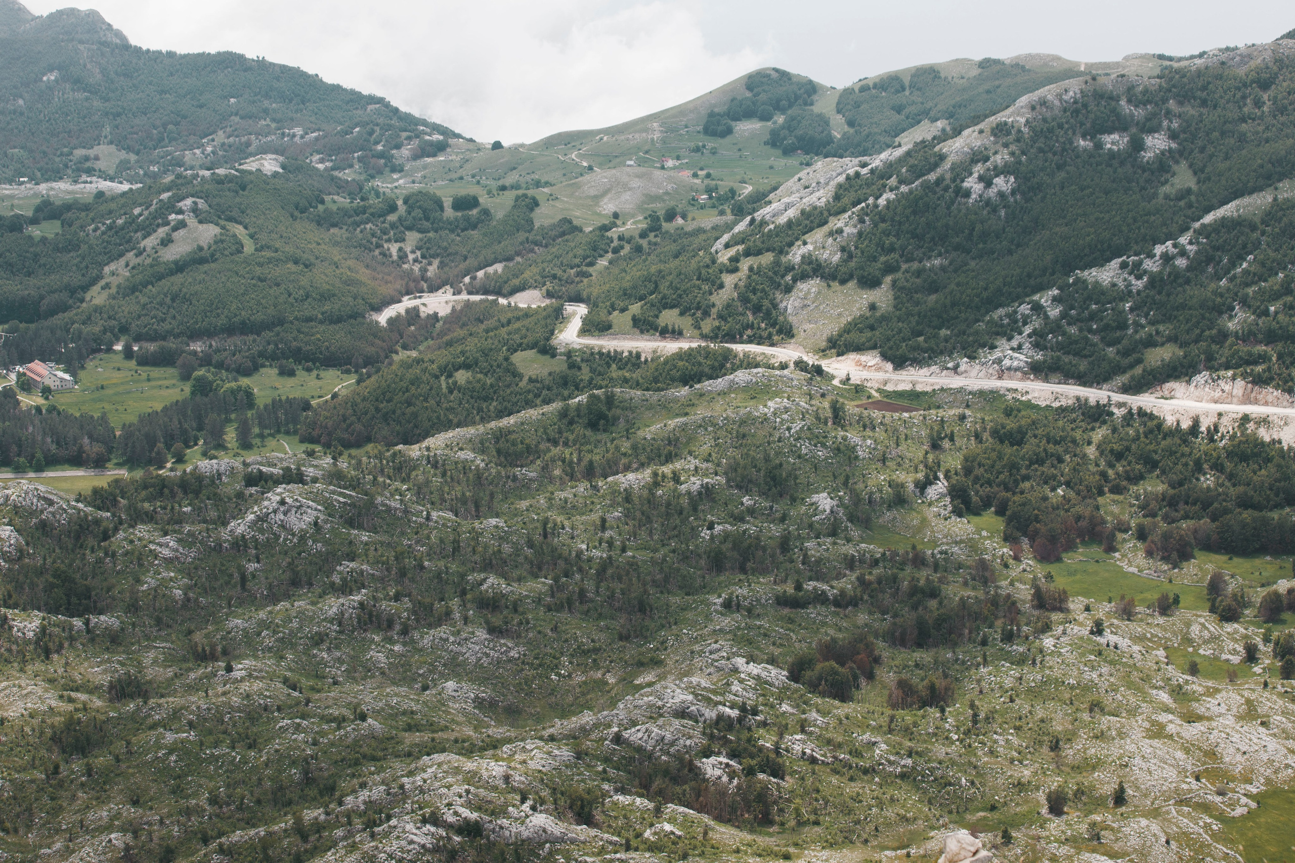 Nikolya. Photographer in Montenegro Tatiana Talaeva
