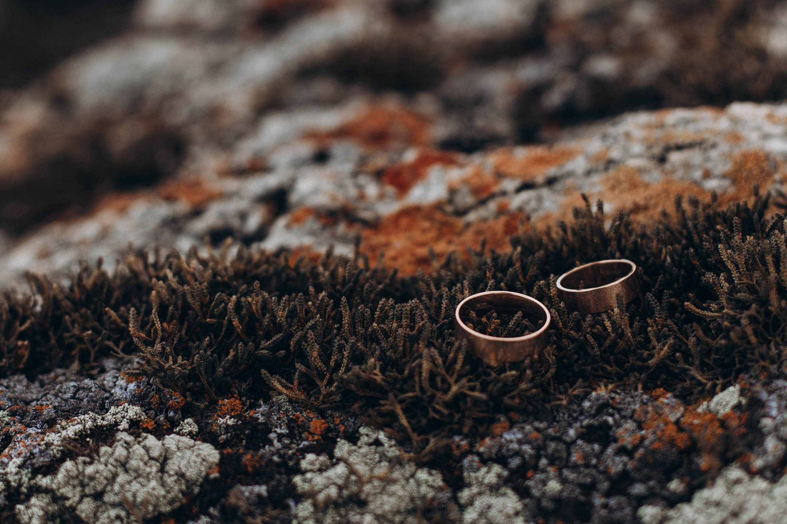 ТУТ ВСЕ ПРО СВАДЕБНЫЕ ФОТО