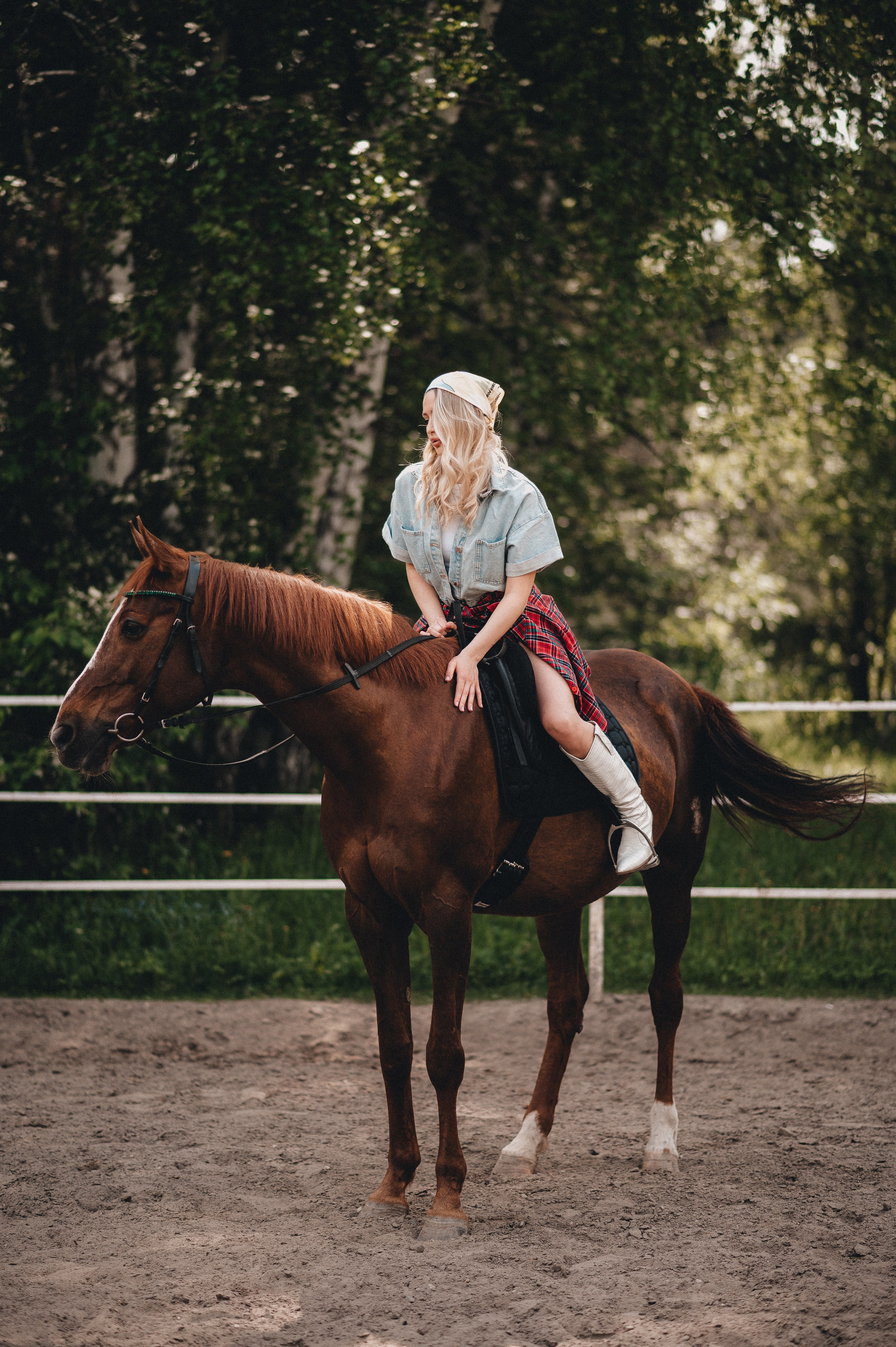 Съёмка с лошадью. Главная