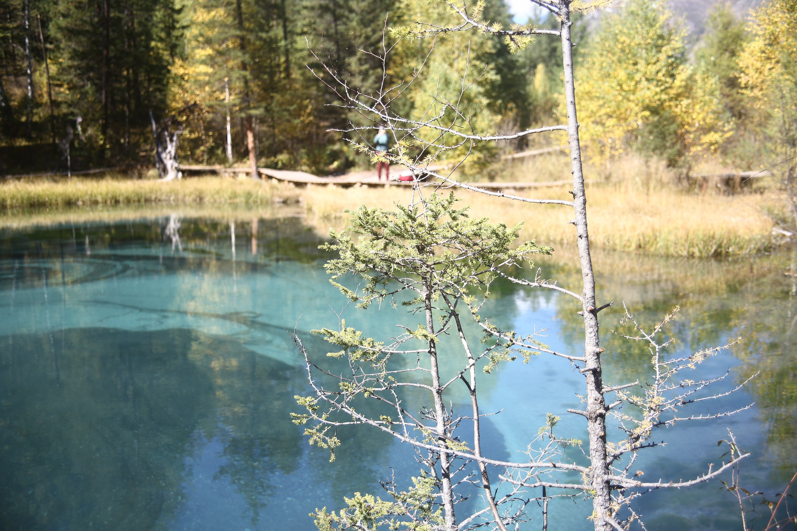 Всё, что я вижу вокруг себя