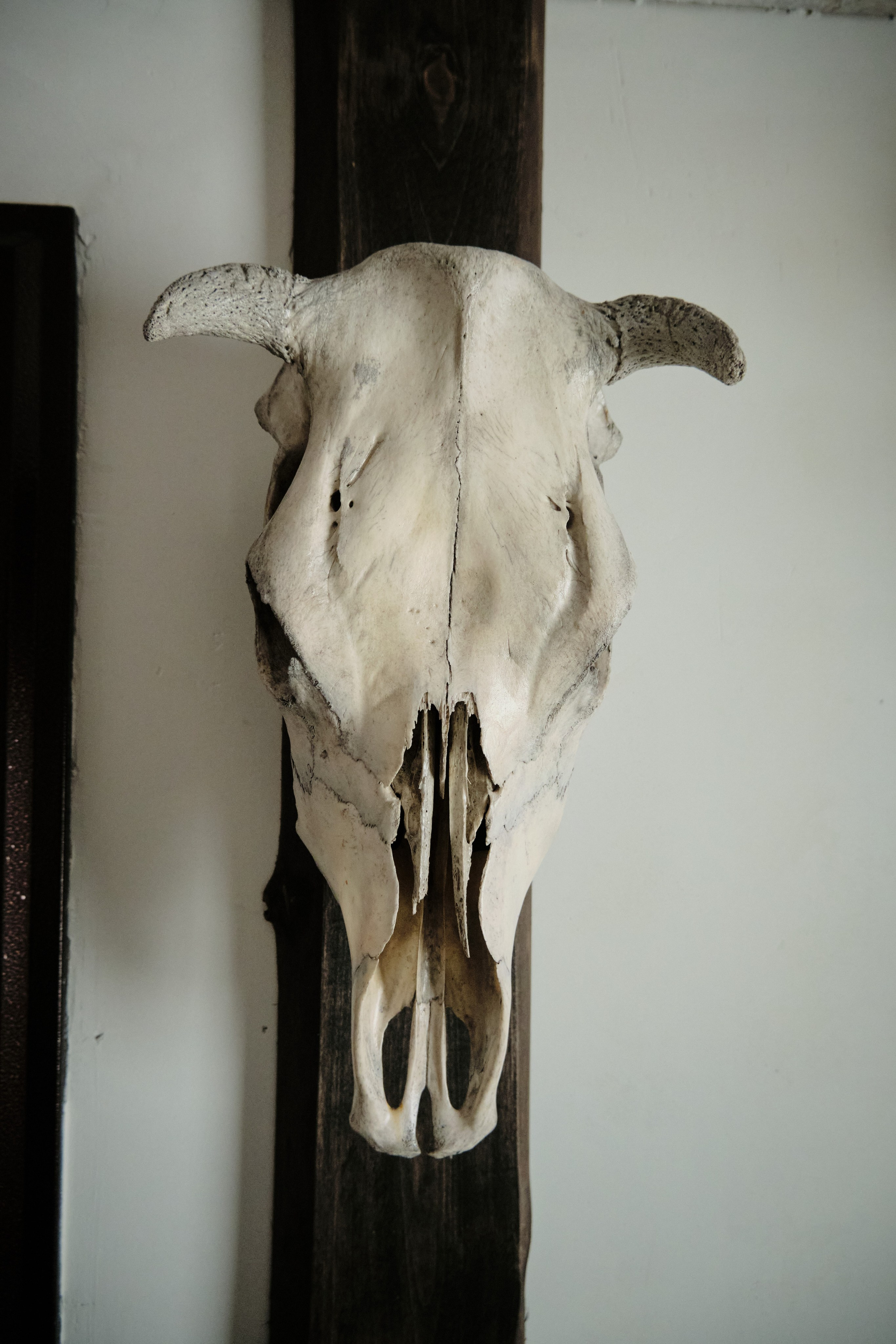 Цветочная 12. Свадебный и семейный фотограф в Новокузнецке Иван Иванов