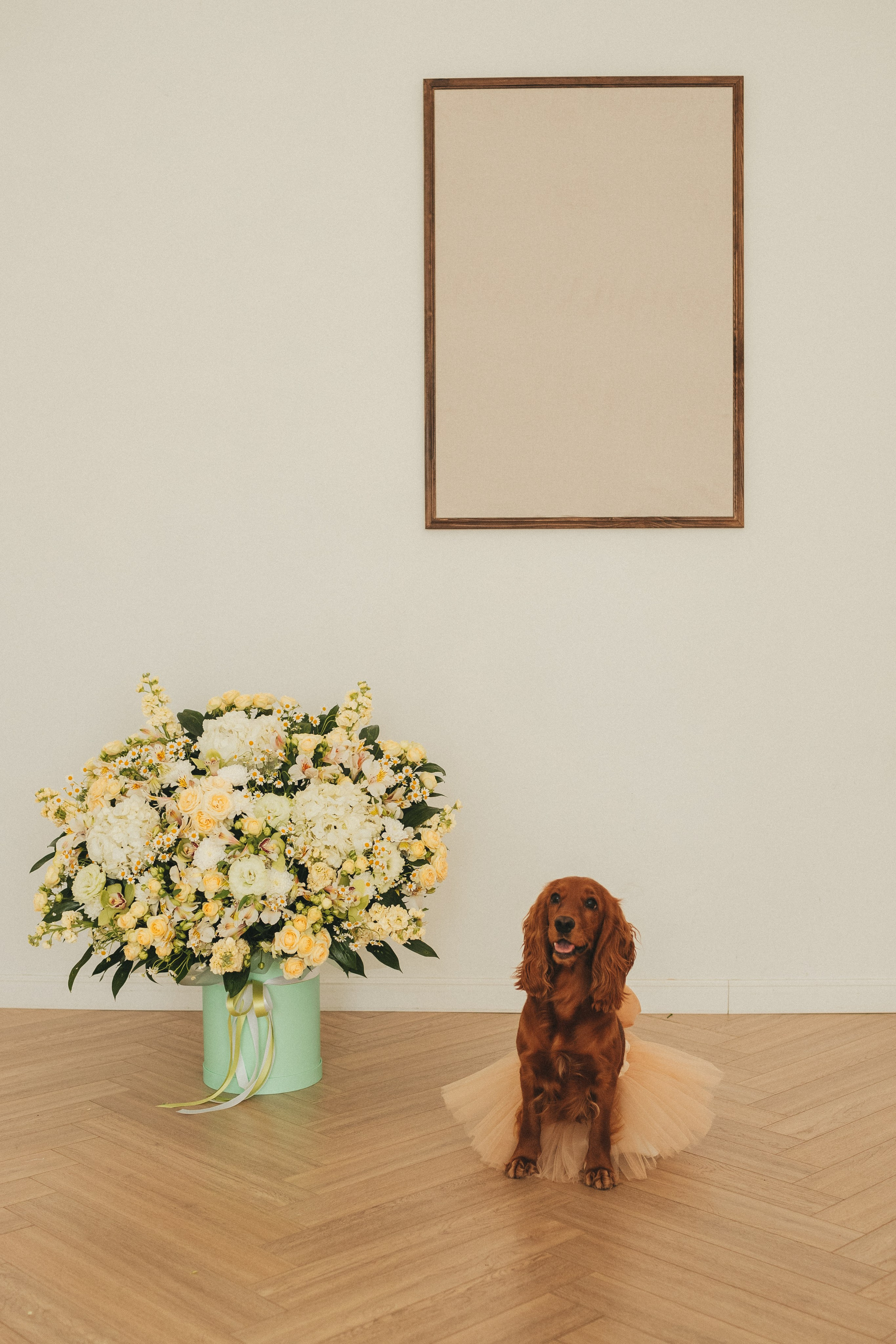 Аня & Вова. Предложение. Семейный фотограф в Москве