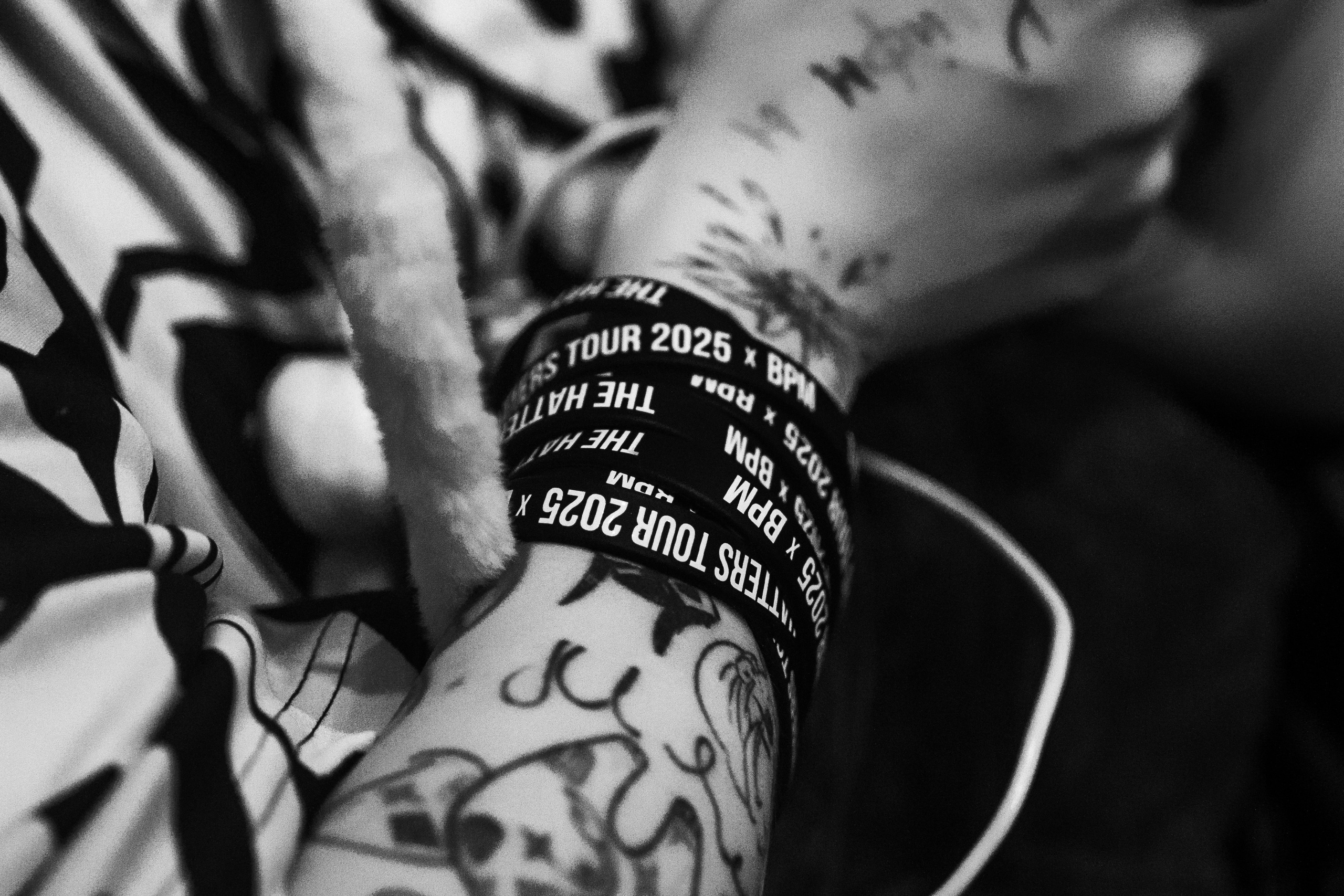 Концерт группы The Hatters. Свадебный и репортажный фотограф в Воронеже Роман Янко