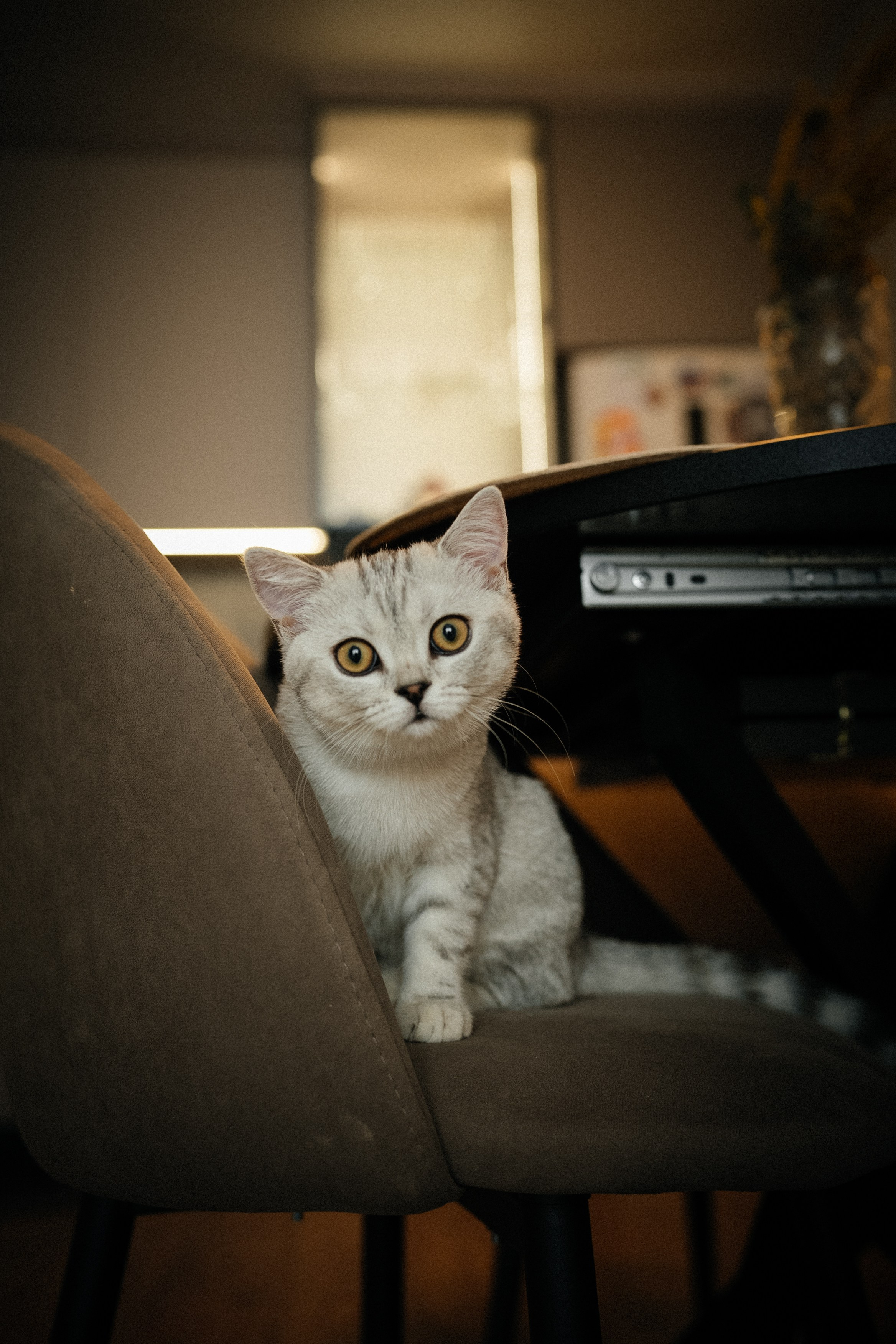 Семья Ксении и Максима. Фотограф | Юлия Арт| Обучение