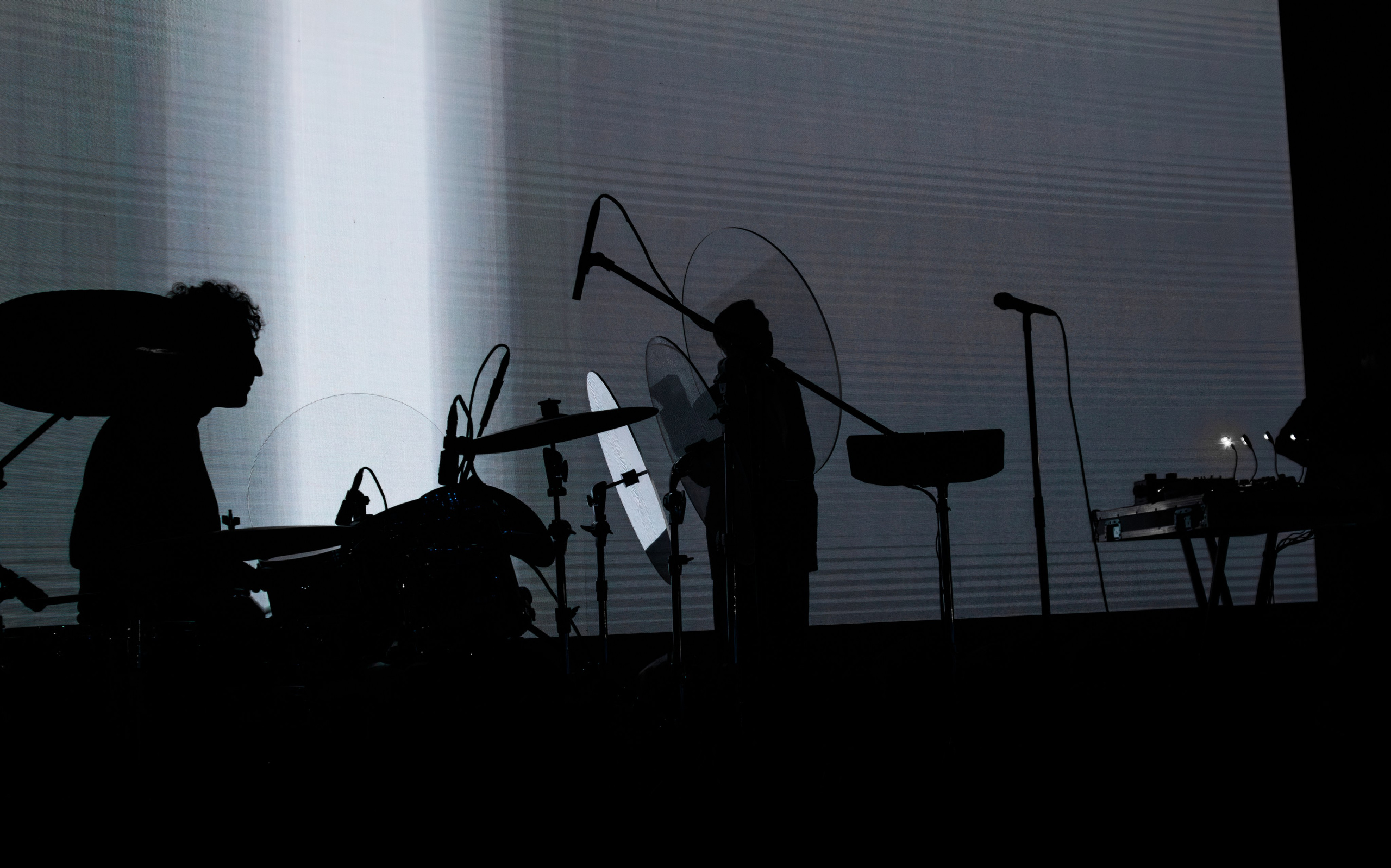 Дельфин. Портретный и концертный фотограф в Санкт-Петербурге Егор Телятников