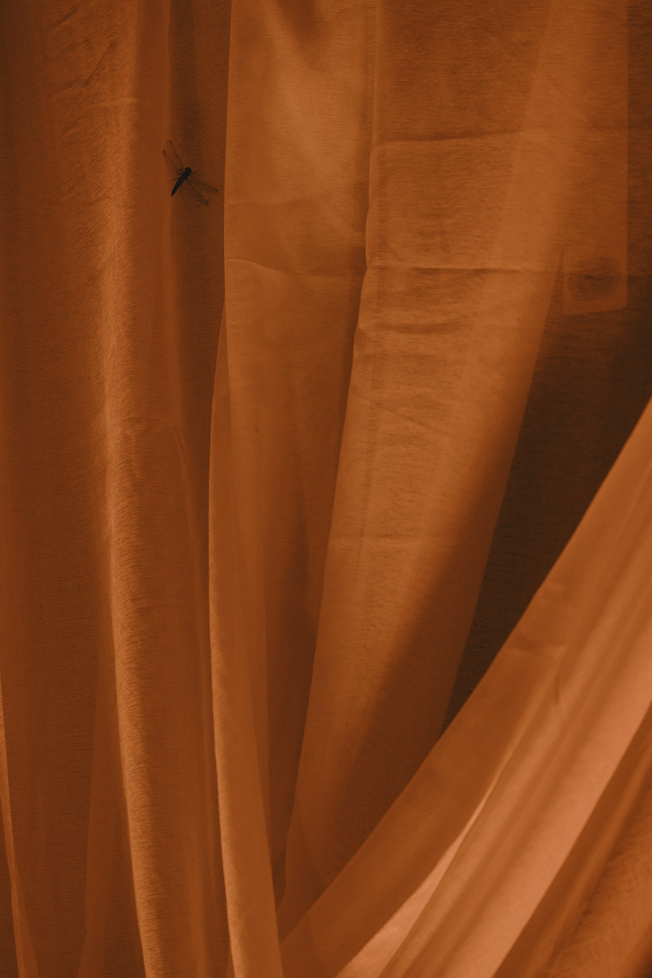 Lemon. Свадебный фотограф Роман Еремеев