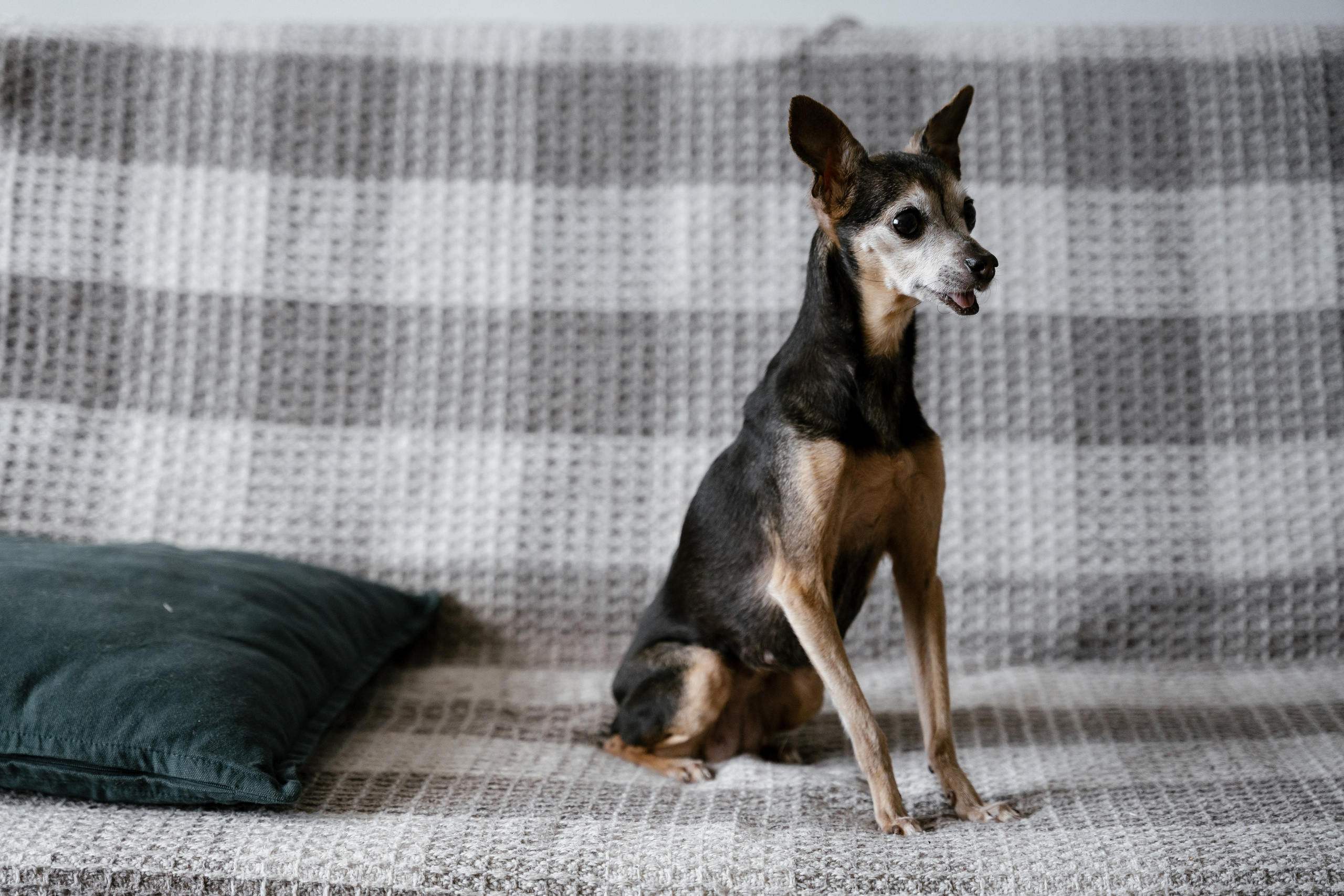 Витя и Аня. Фотограф Томск, Новосибирск Влад Свириденко