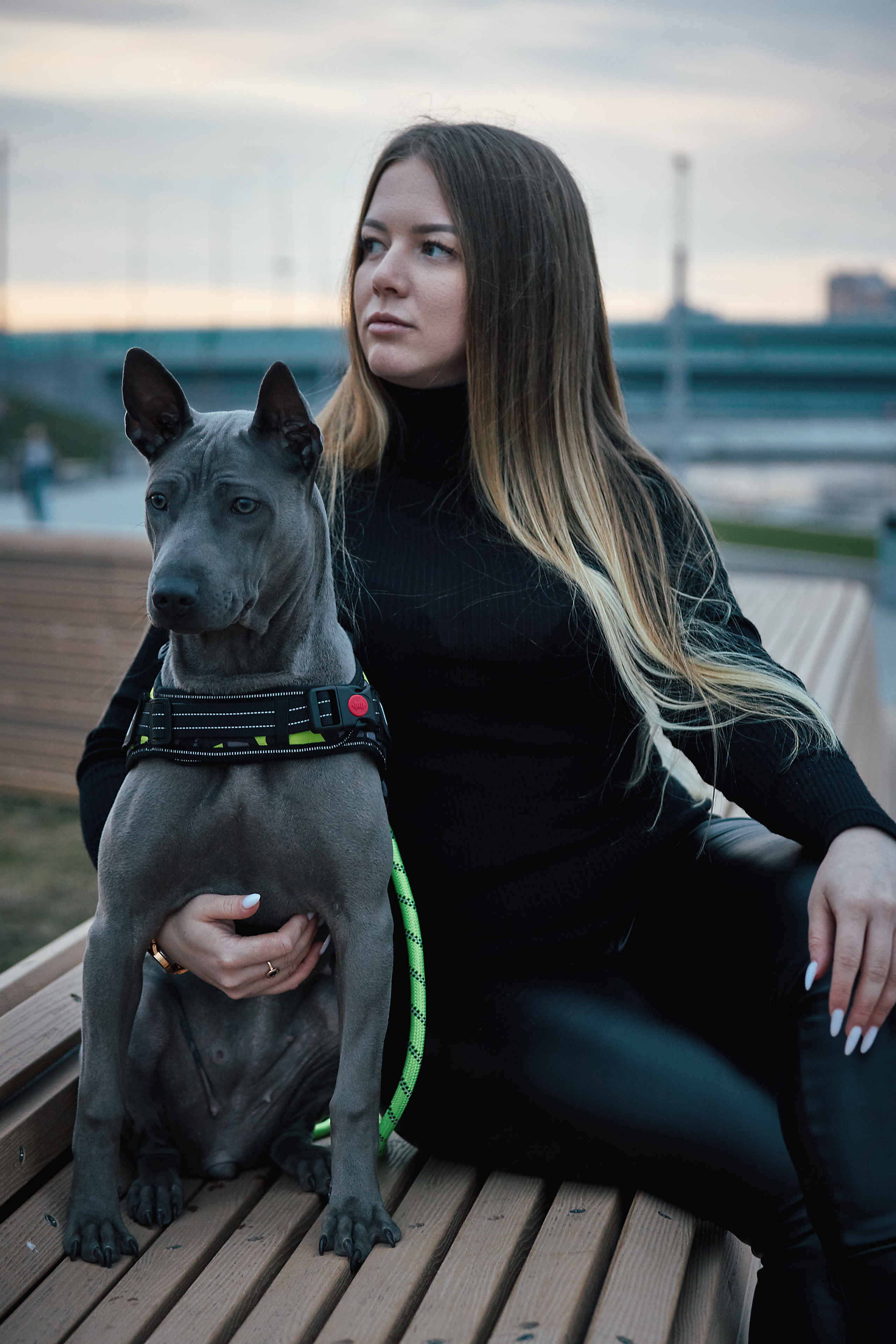 Фотосессии с домашними питомцами