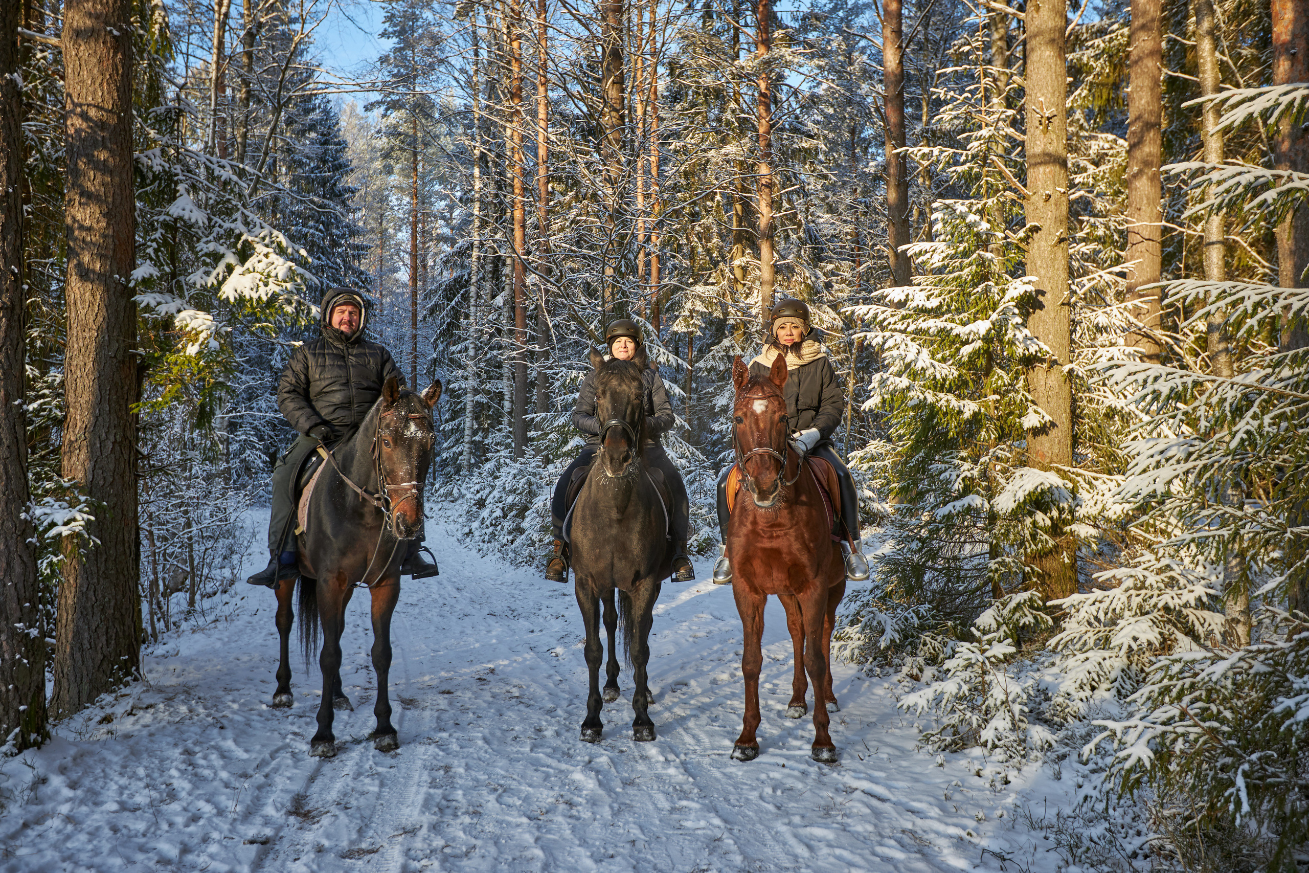 Фотосессии с домашними питомцами
