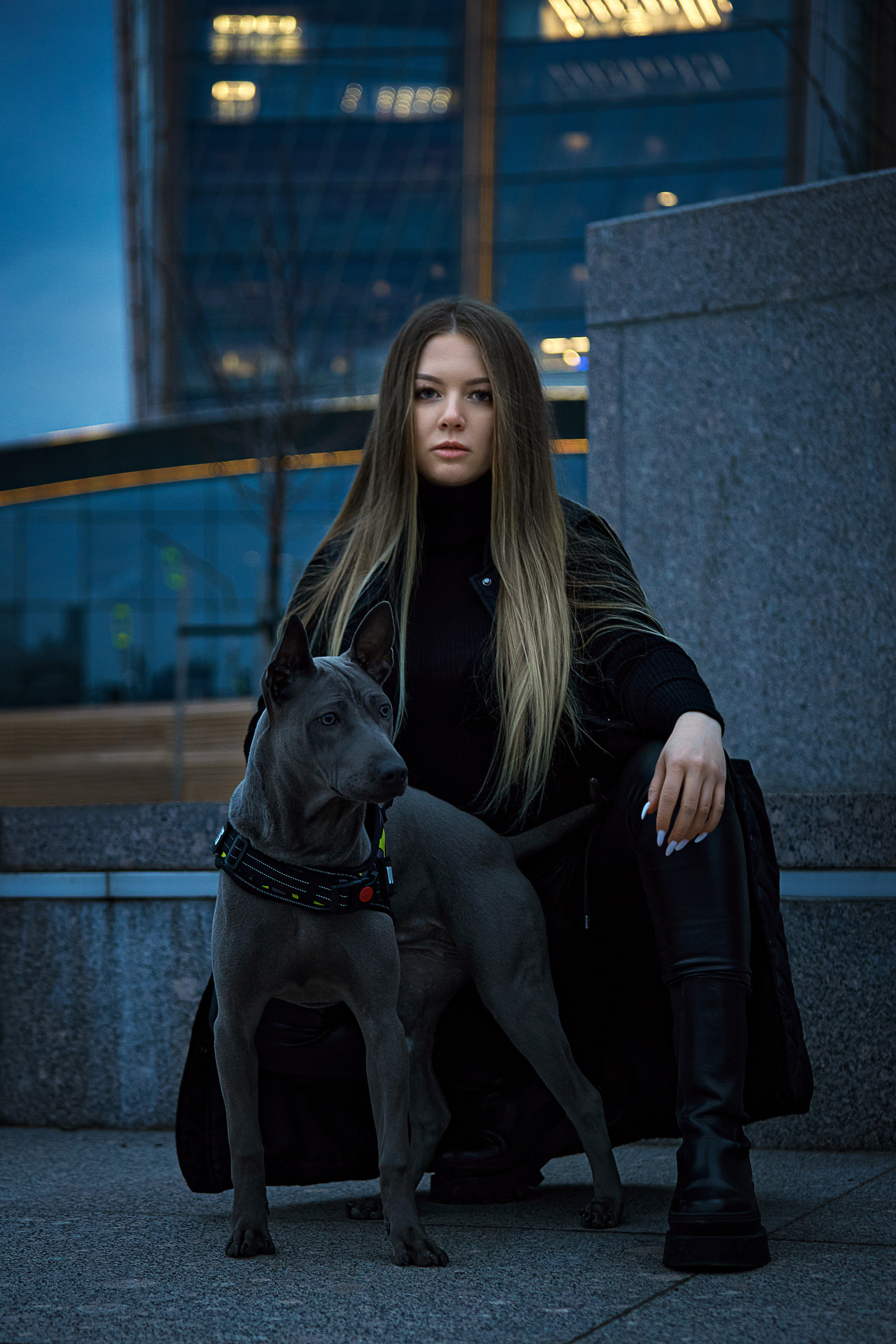 Фотосессии с домашними питомцами