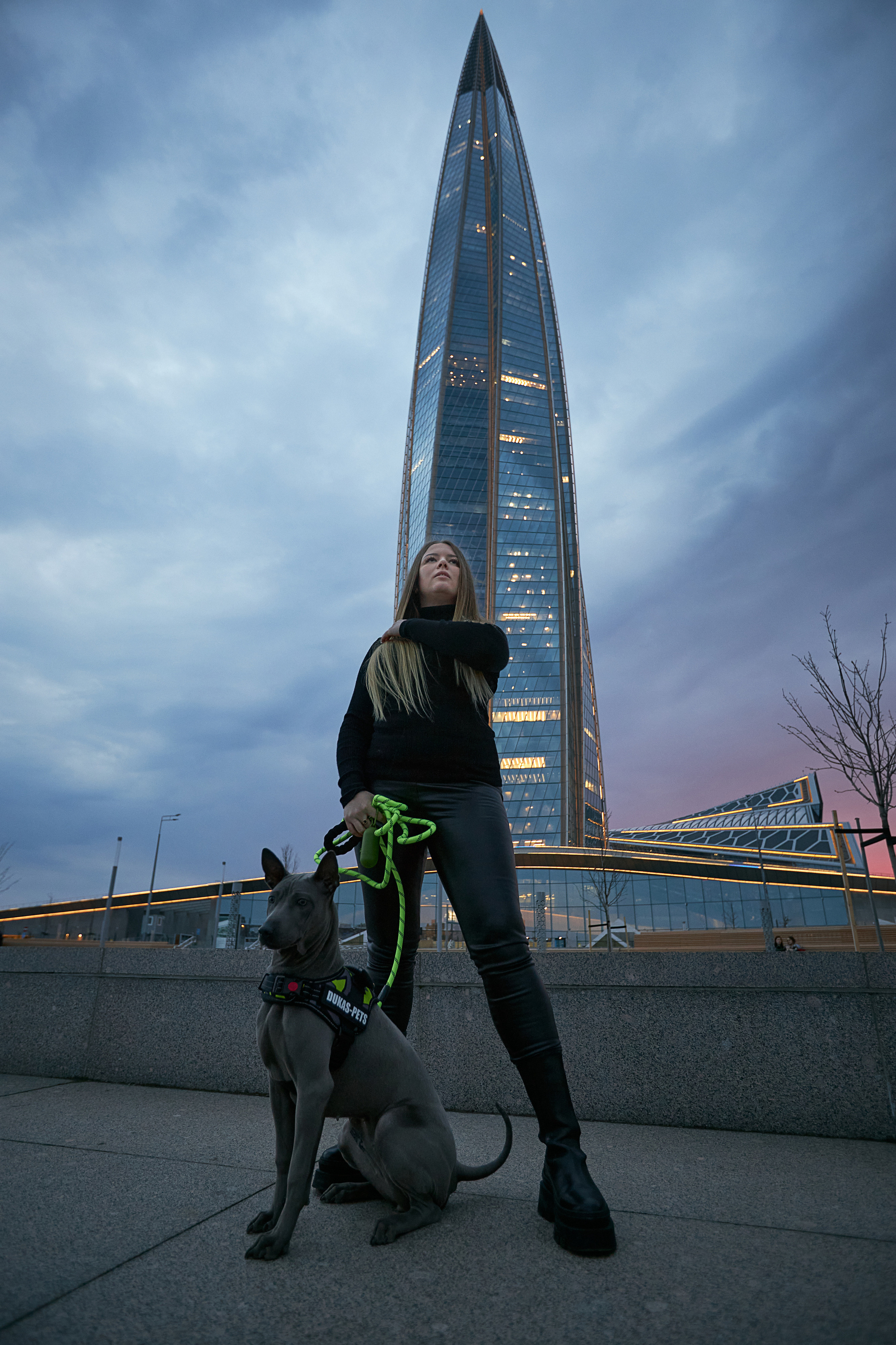 Фотосессии с домашними питомцами