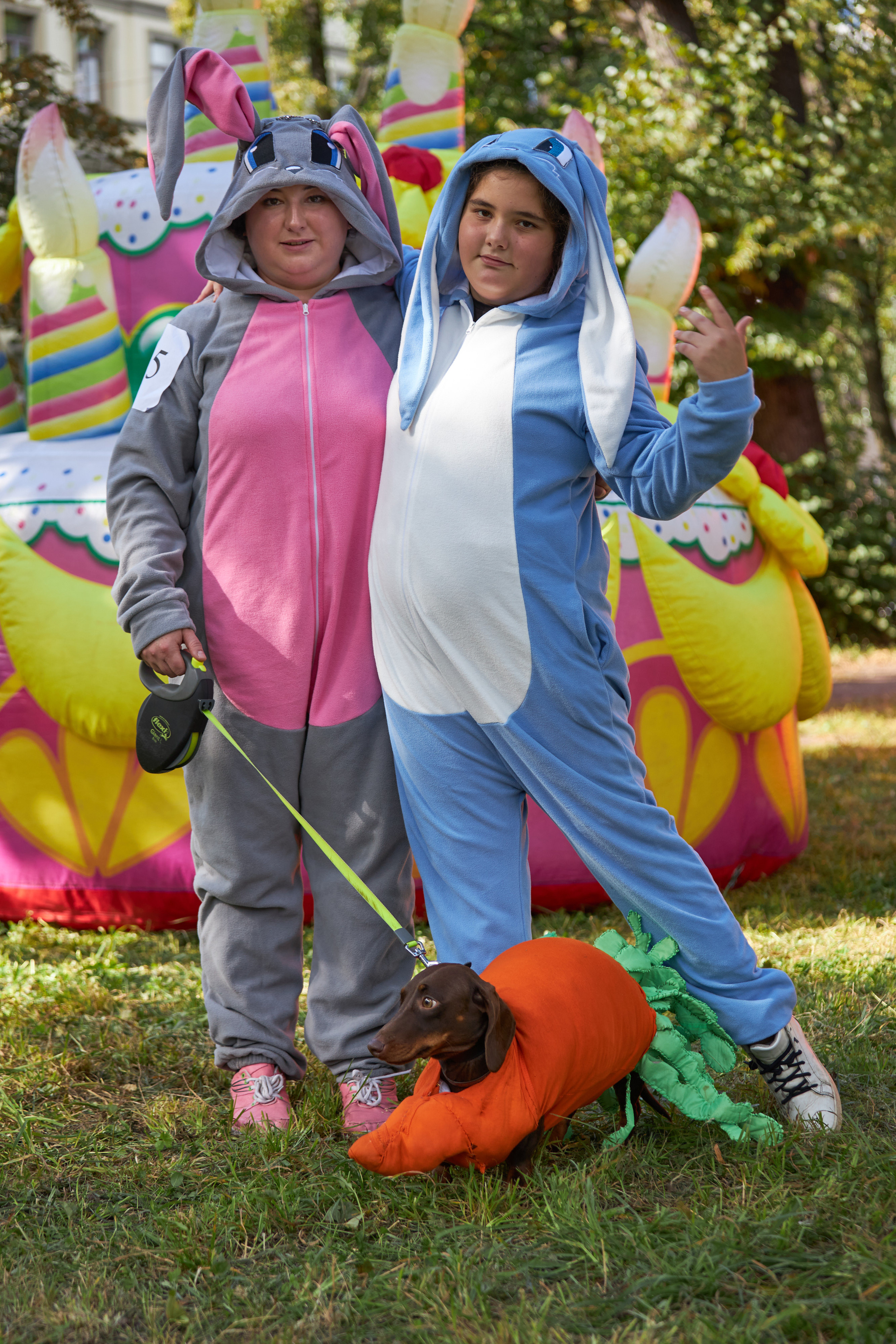 Фотосессии с домашними питомцами