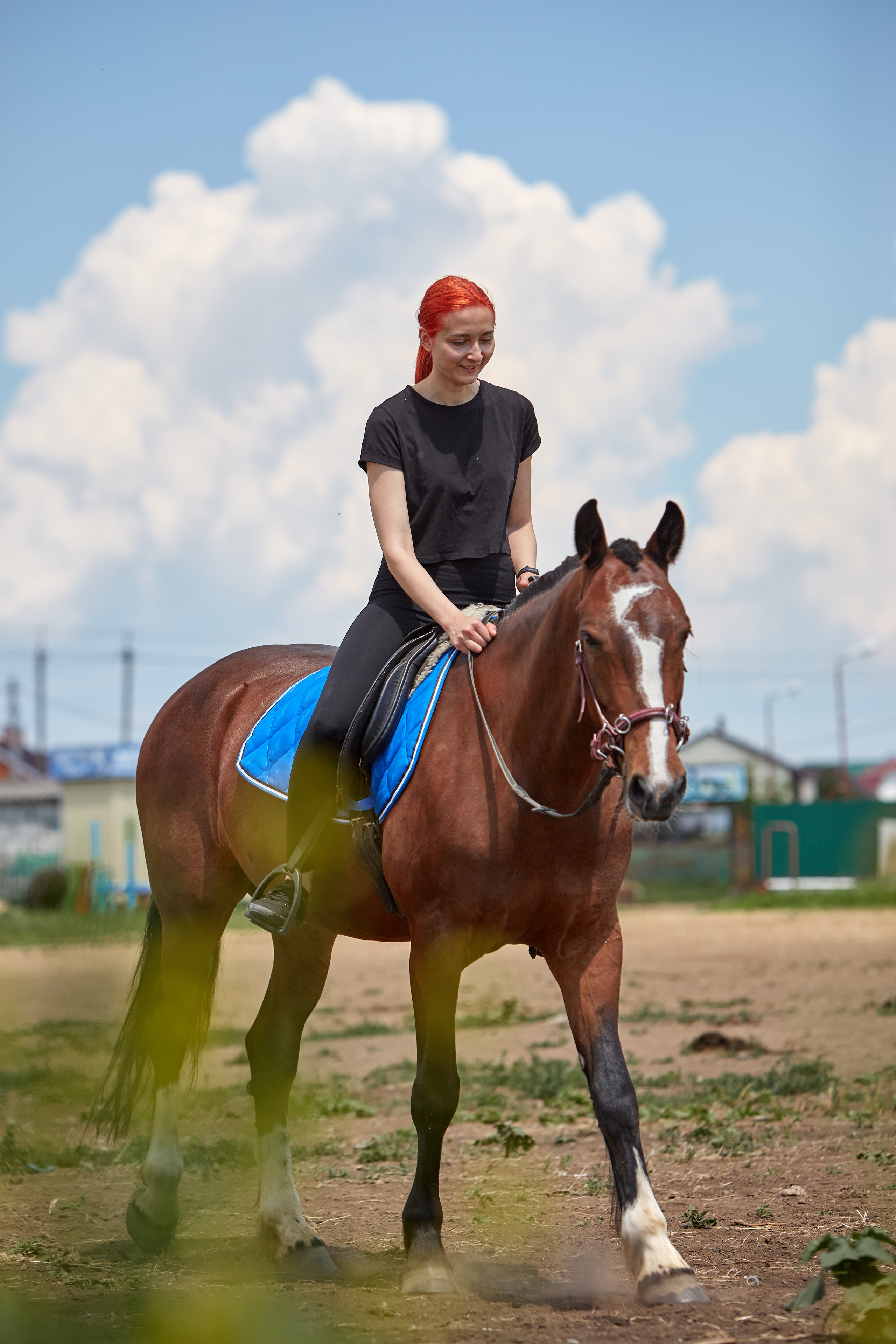 Фотосессии с домашними питомцами