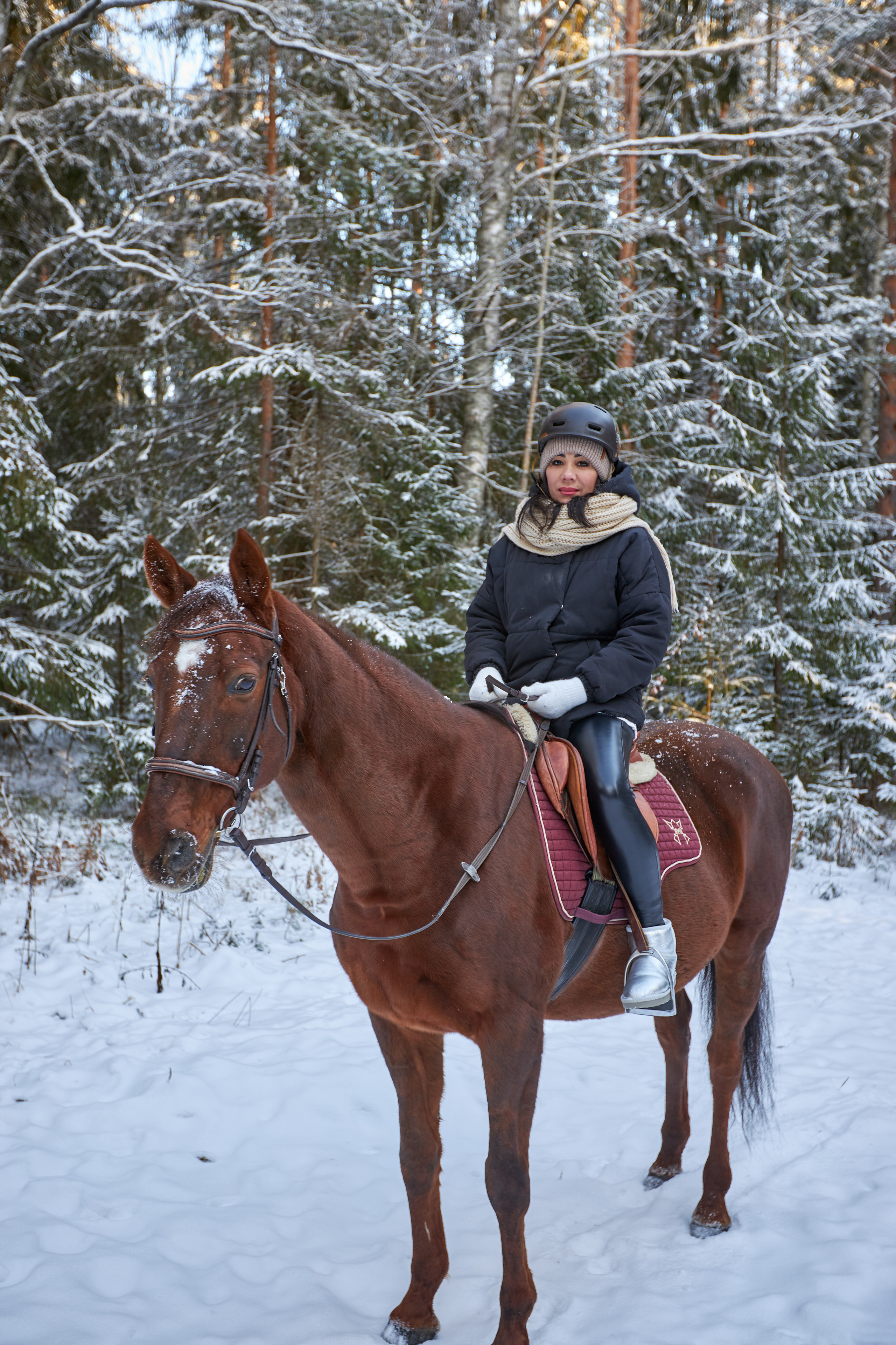 Фотосессии с домашними питомцами