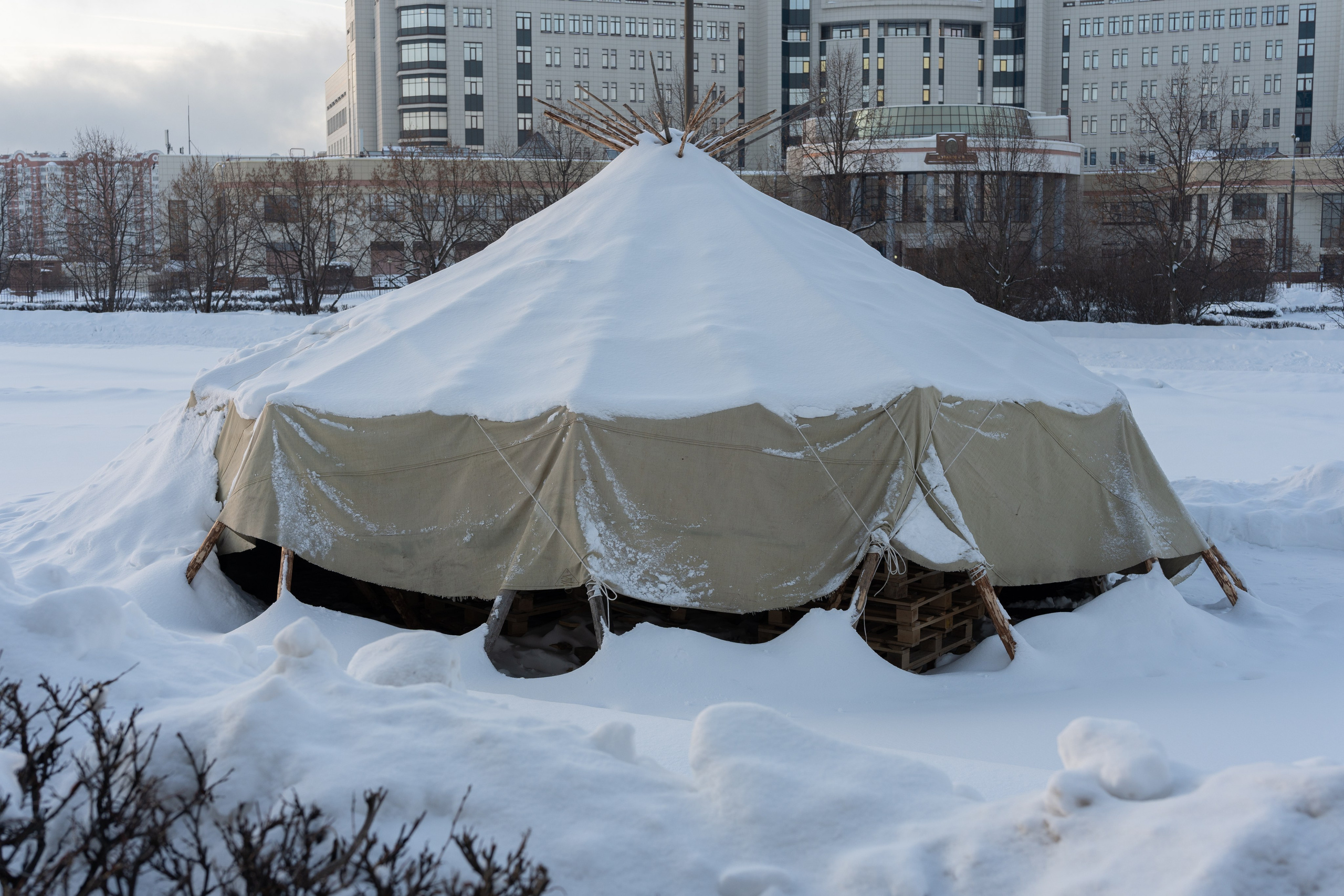 20260118 МГУ. Дмитрий Ремизов. Фотография, как хобби