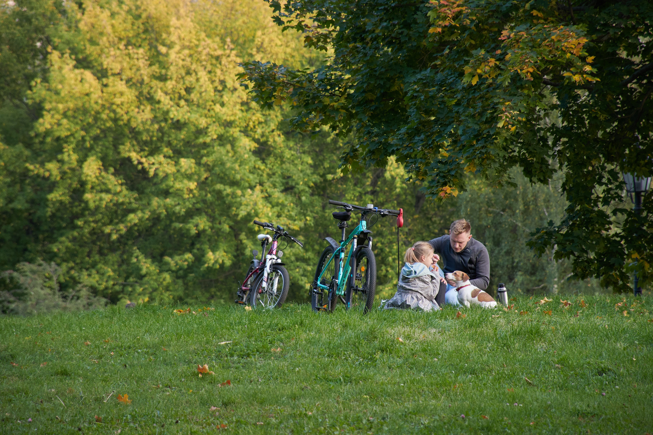 20200927 Коломенское. Дмитрий Ремизов. Фотография, как хобби