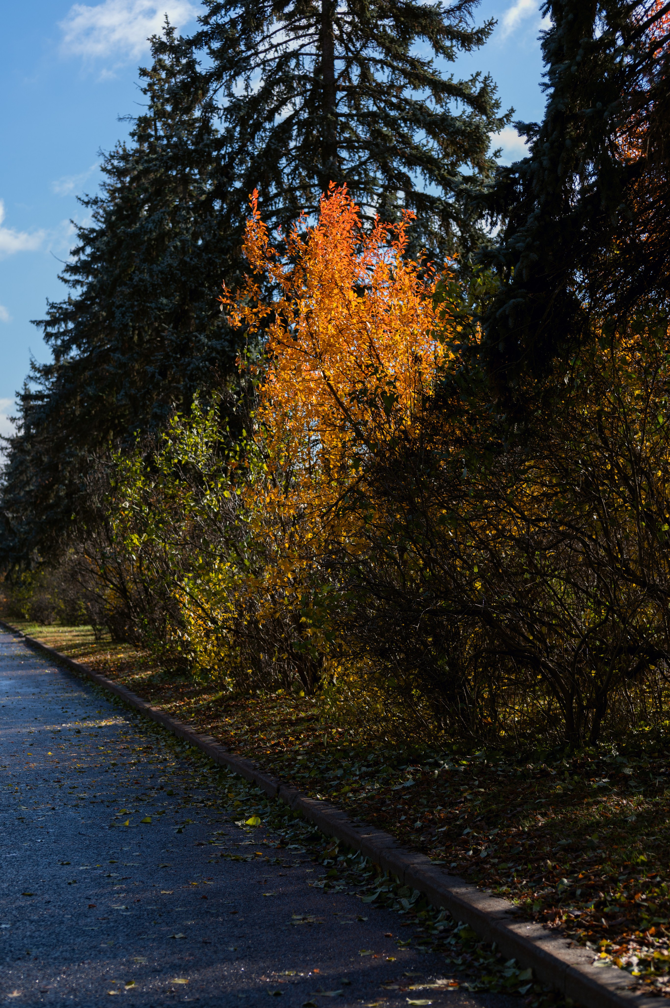 20241102 МГУ. Дмитрий Ремизов. Фотография, как хобби