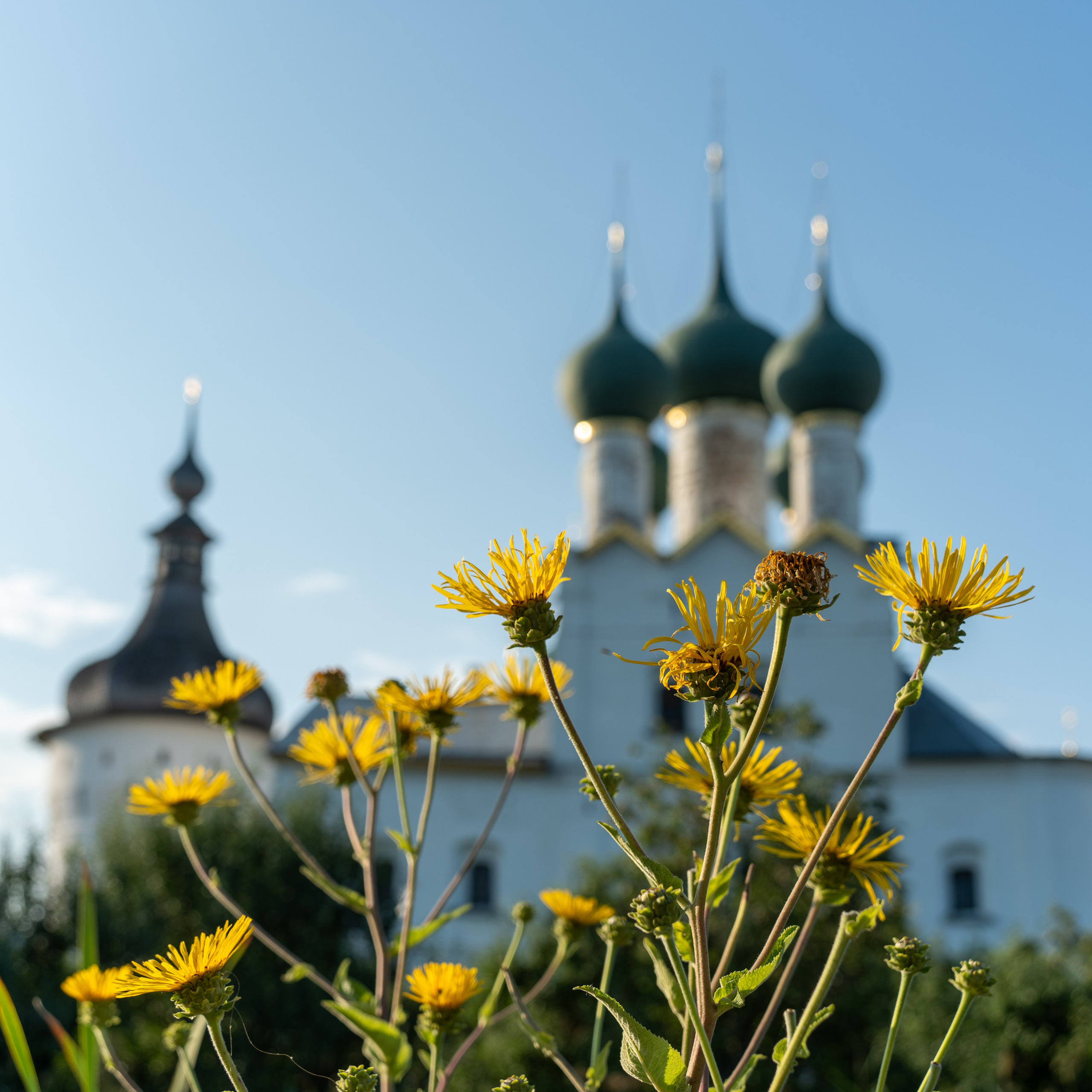 20250729-30 Ростов. Дмитрий Ремизов. Фотография, как хобби