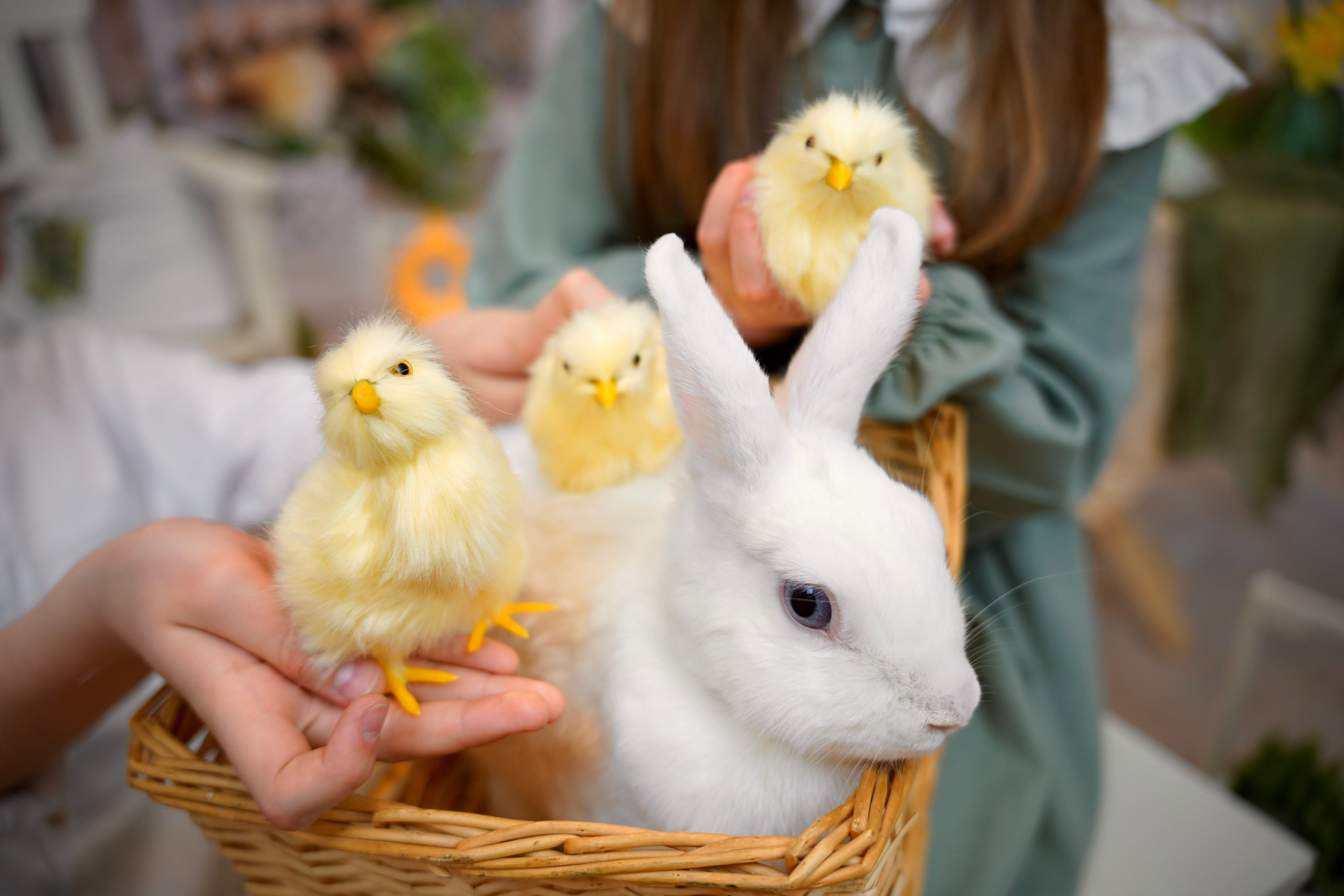 Весенний фотопроект № 1. Семейный и детский фотограф Александра Гвоздикова