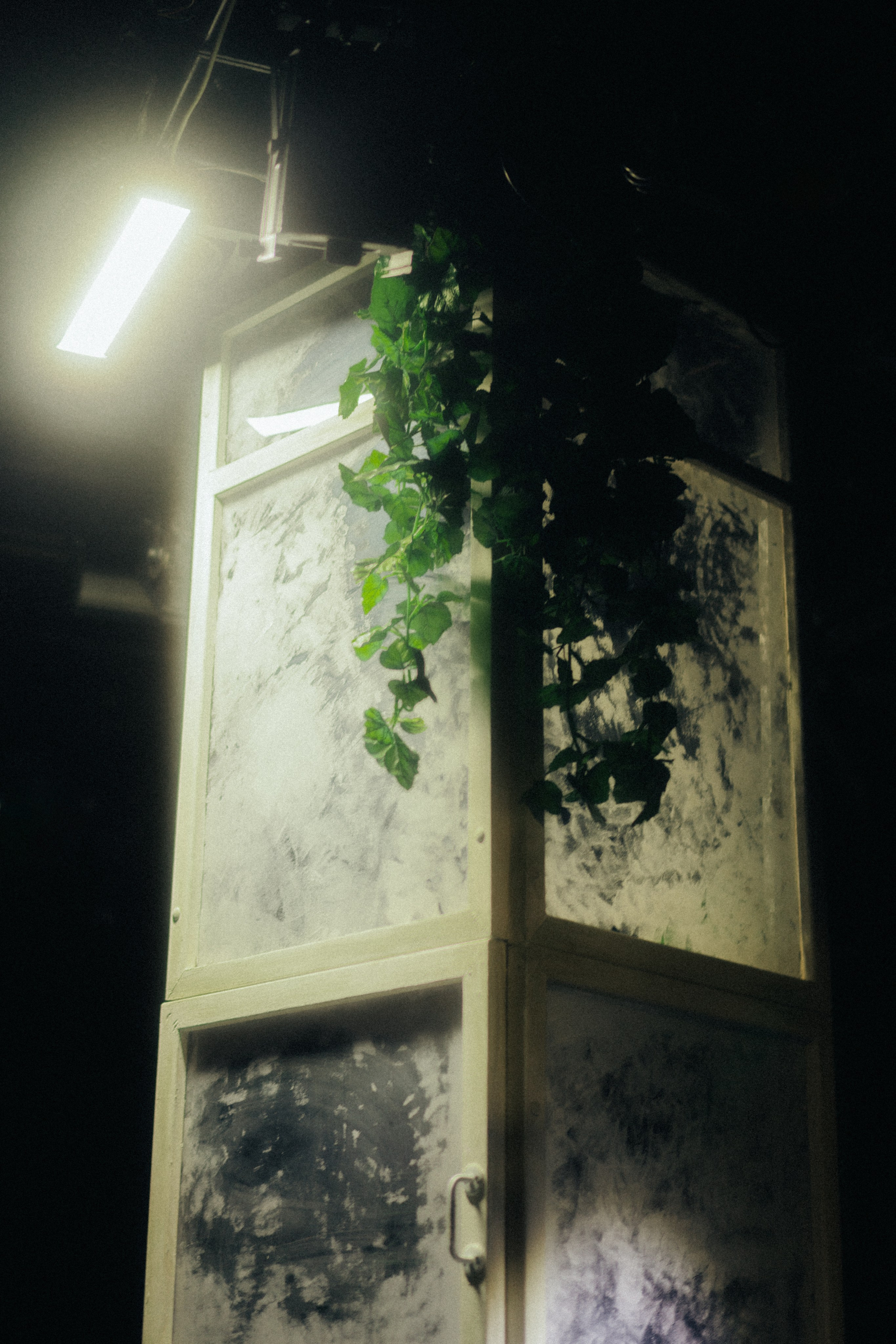 ТЮЗ. Veronika Popadeikina Photographer