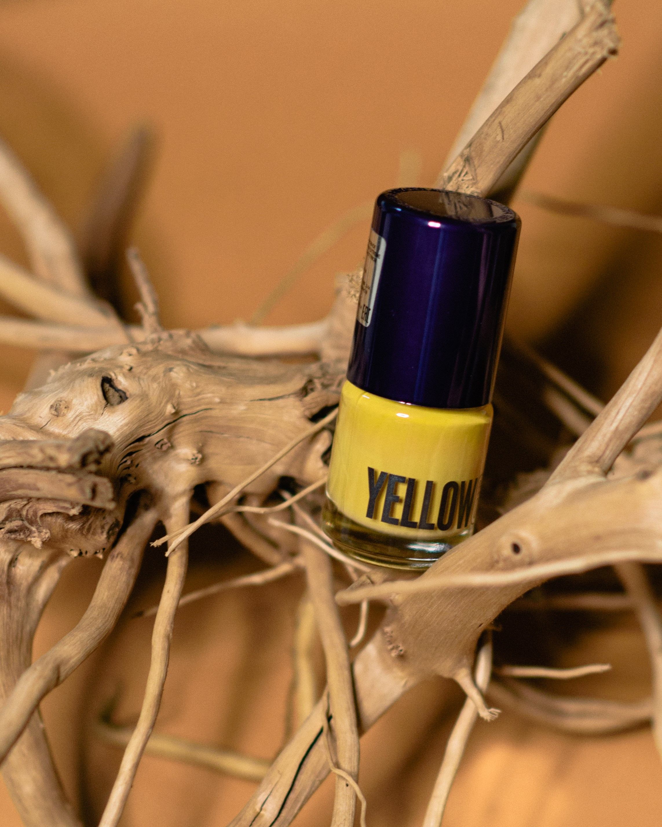 Christina fitzgerald. Фотограф в Москве Мария Терентьева