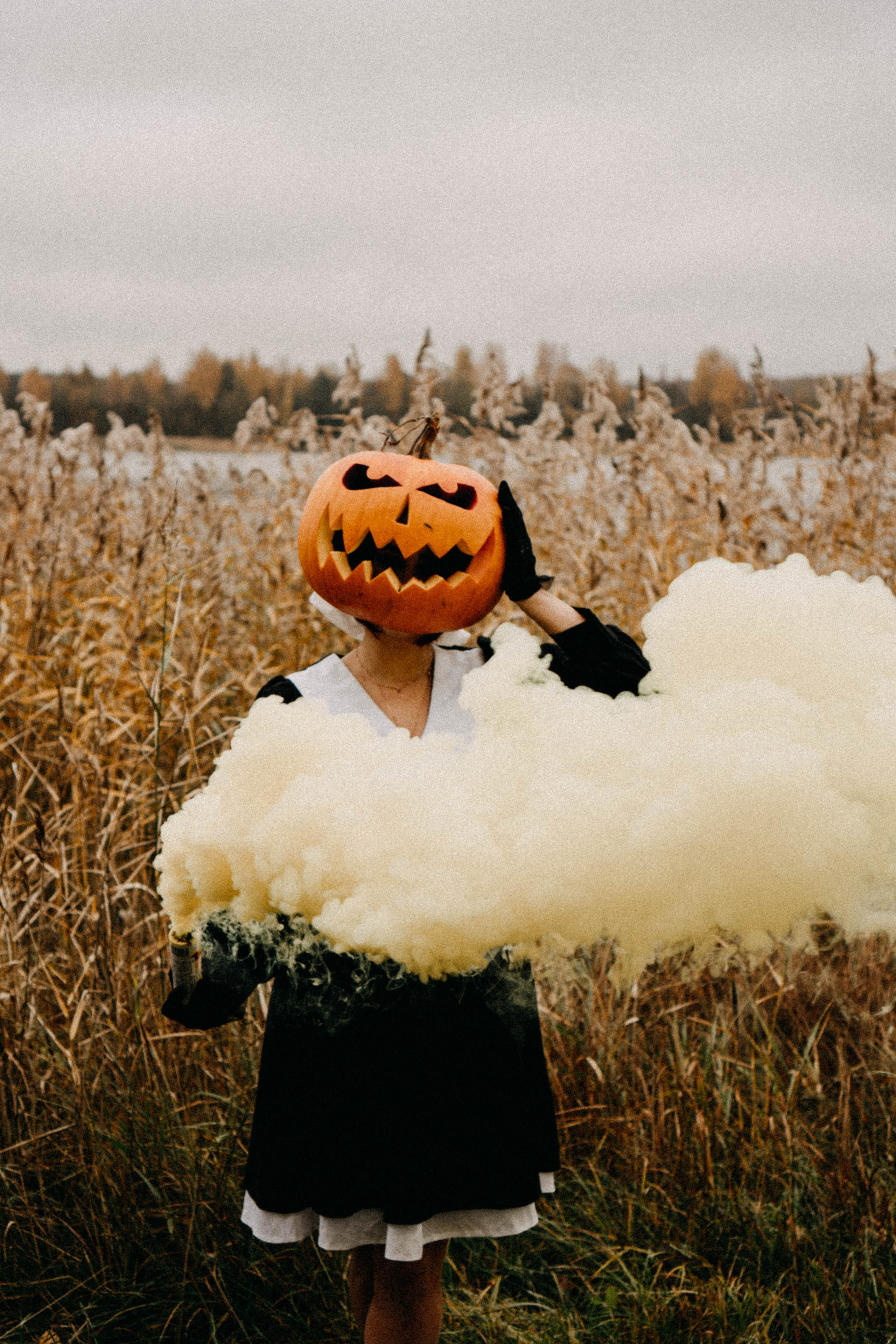 Осеняя. Профессиональный фотограф, Санкт-Петербург — Виктория Богомолова
