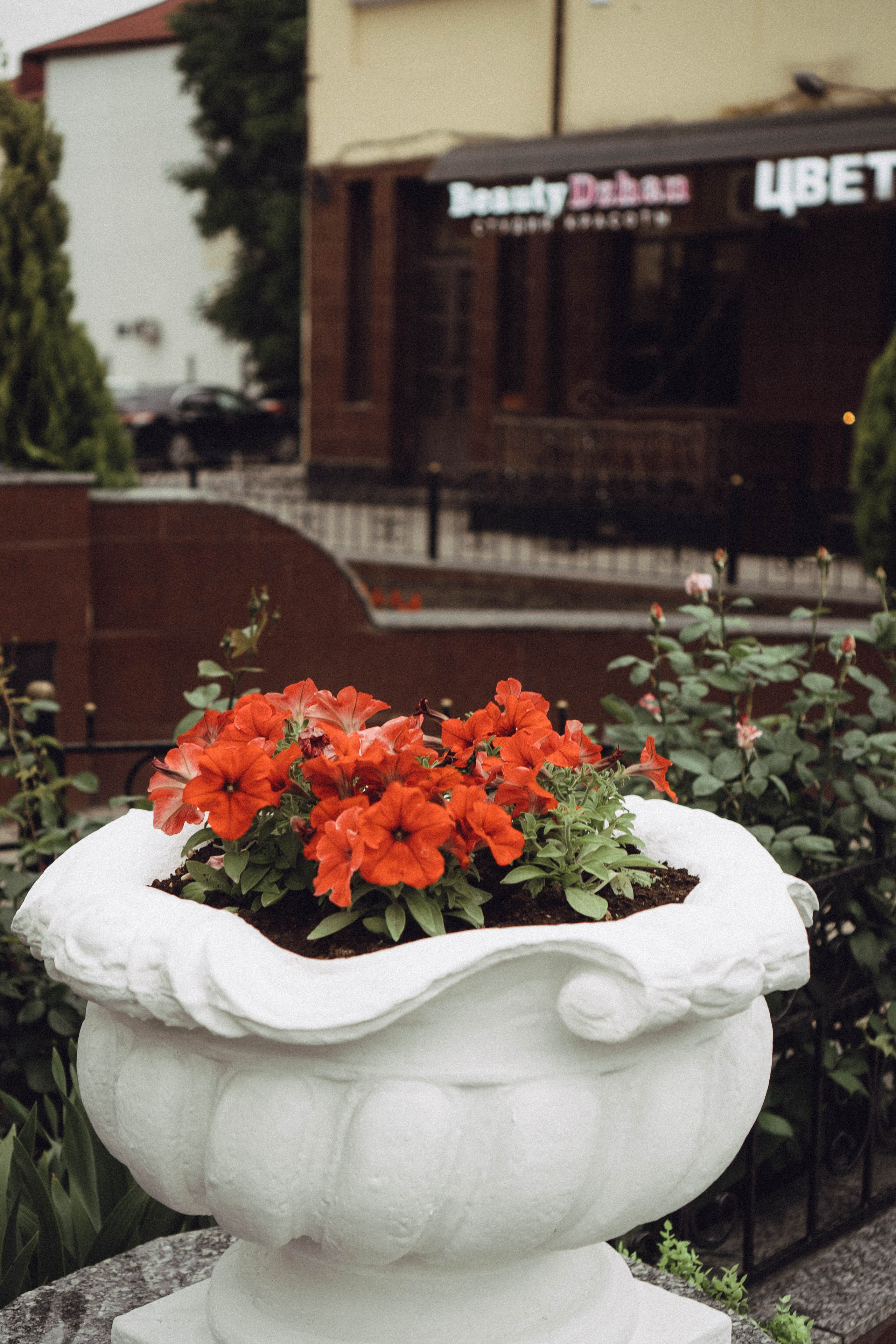 Кавказ. Профессиональный фотограф, Санкт-Петербург — Виктория Богомолова