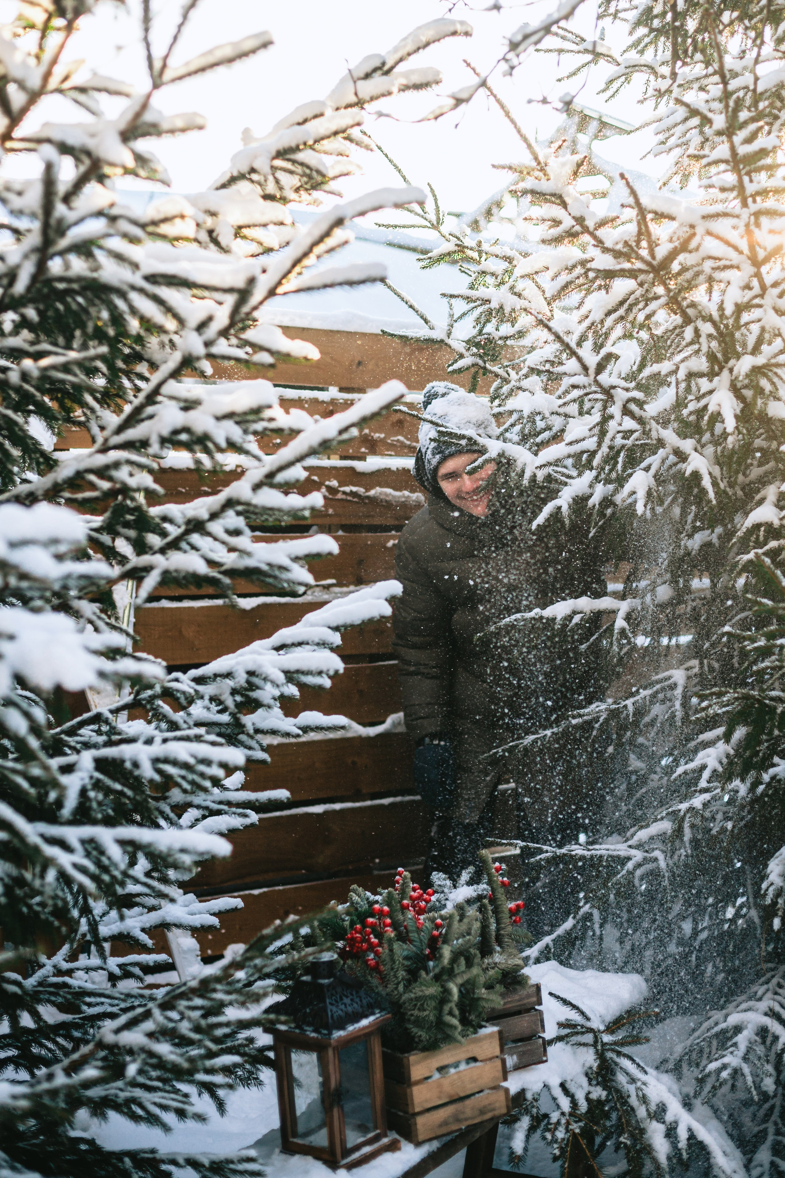 Зингер дача. Фотограф-анималист Татьяна Степанова