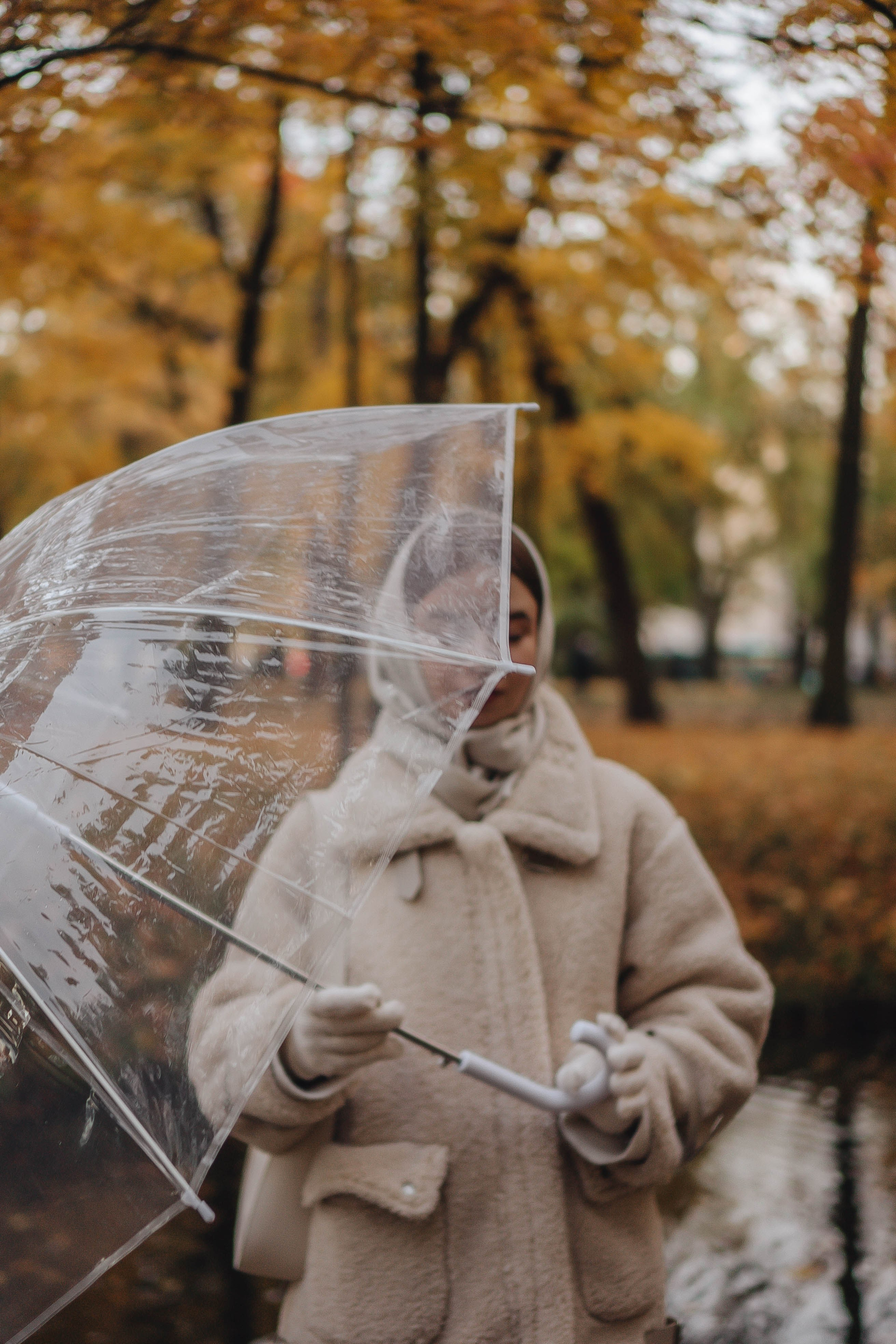 Осенняя. Профессиональный фотограф, Санкт-Петербург — Виктория Богомолова