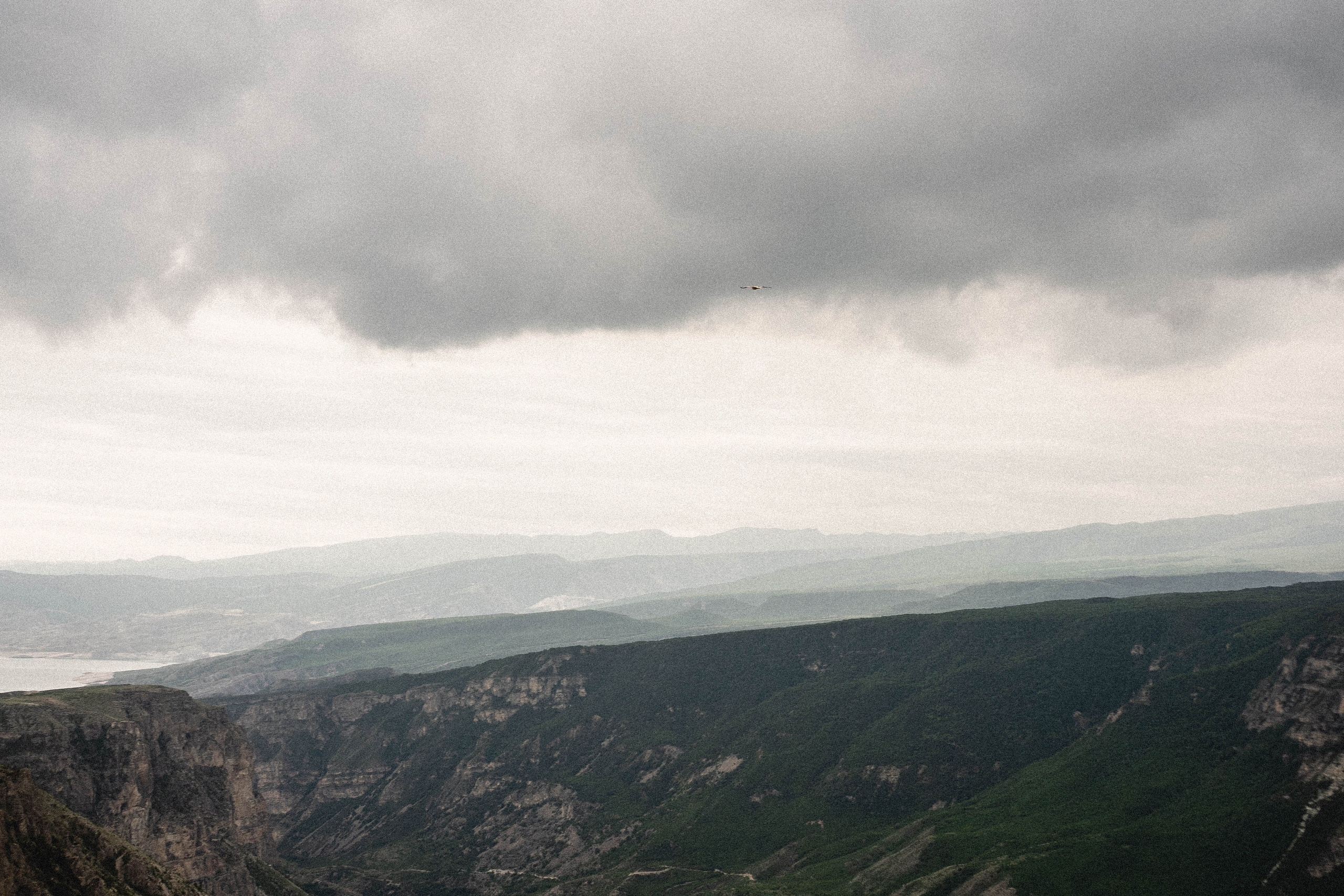 Кавказ. Профессиональный фотограф, Санкт-Петербург — Виктория Богомолова