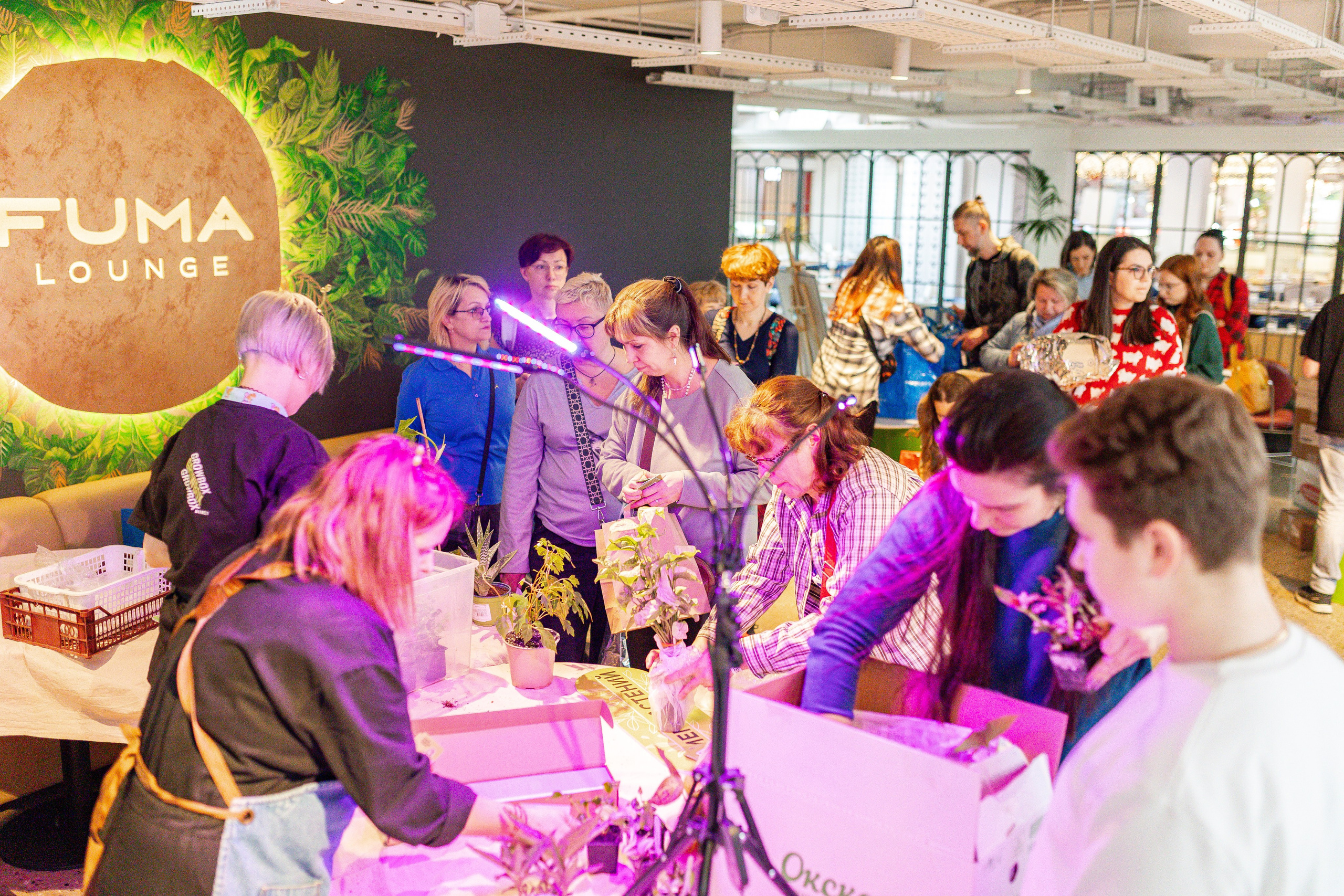 Growbox 1–2 марта. Александра Куликова фотограф, Москва