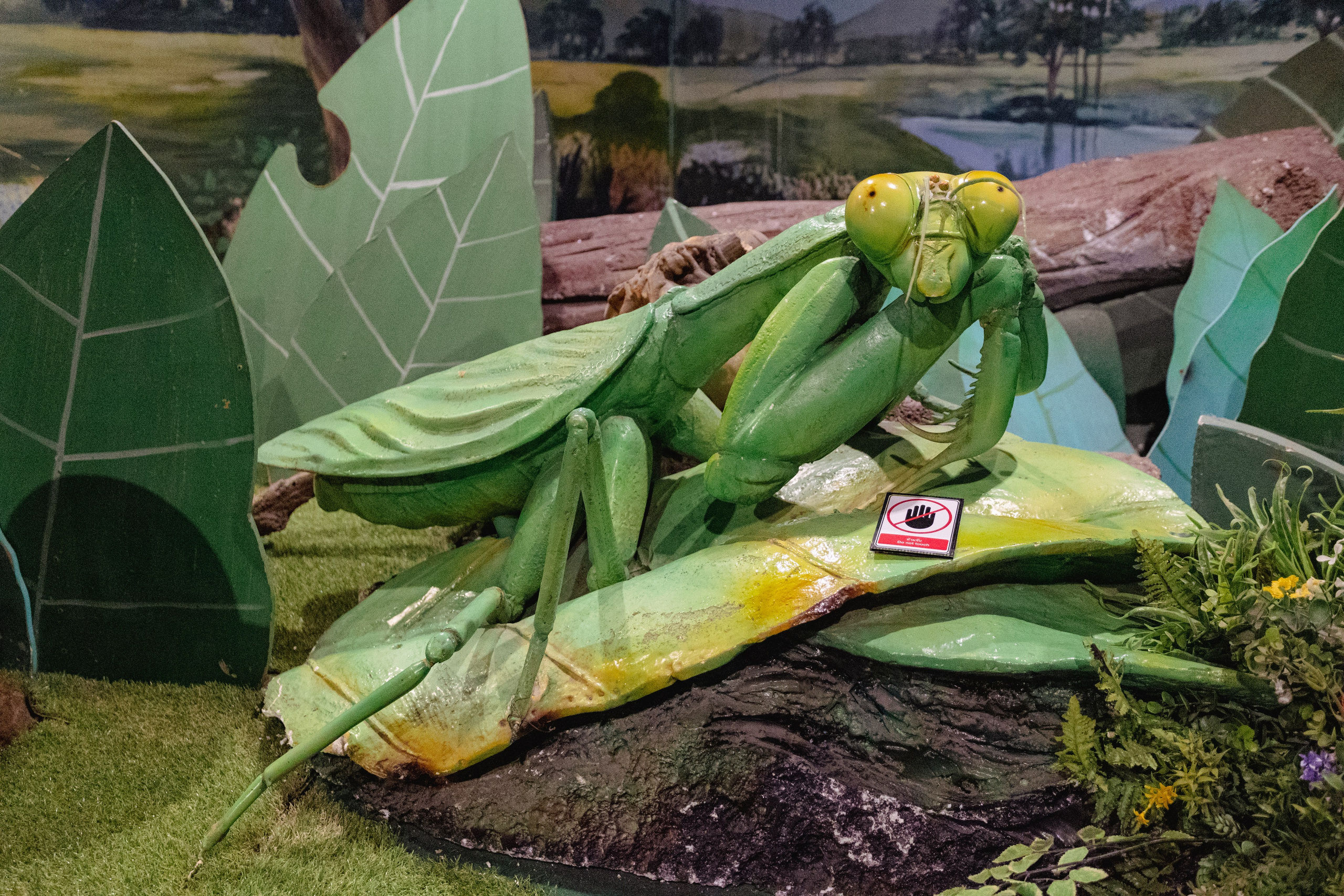 Bangkok Planetarium. Photographer Sonkina Tatiana (Tanya Ash)