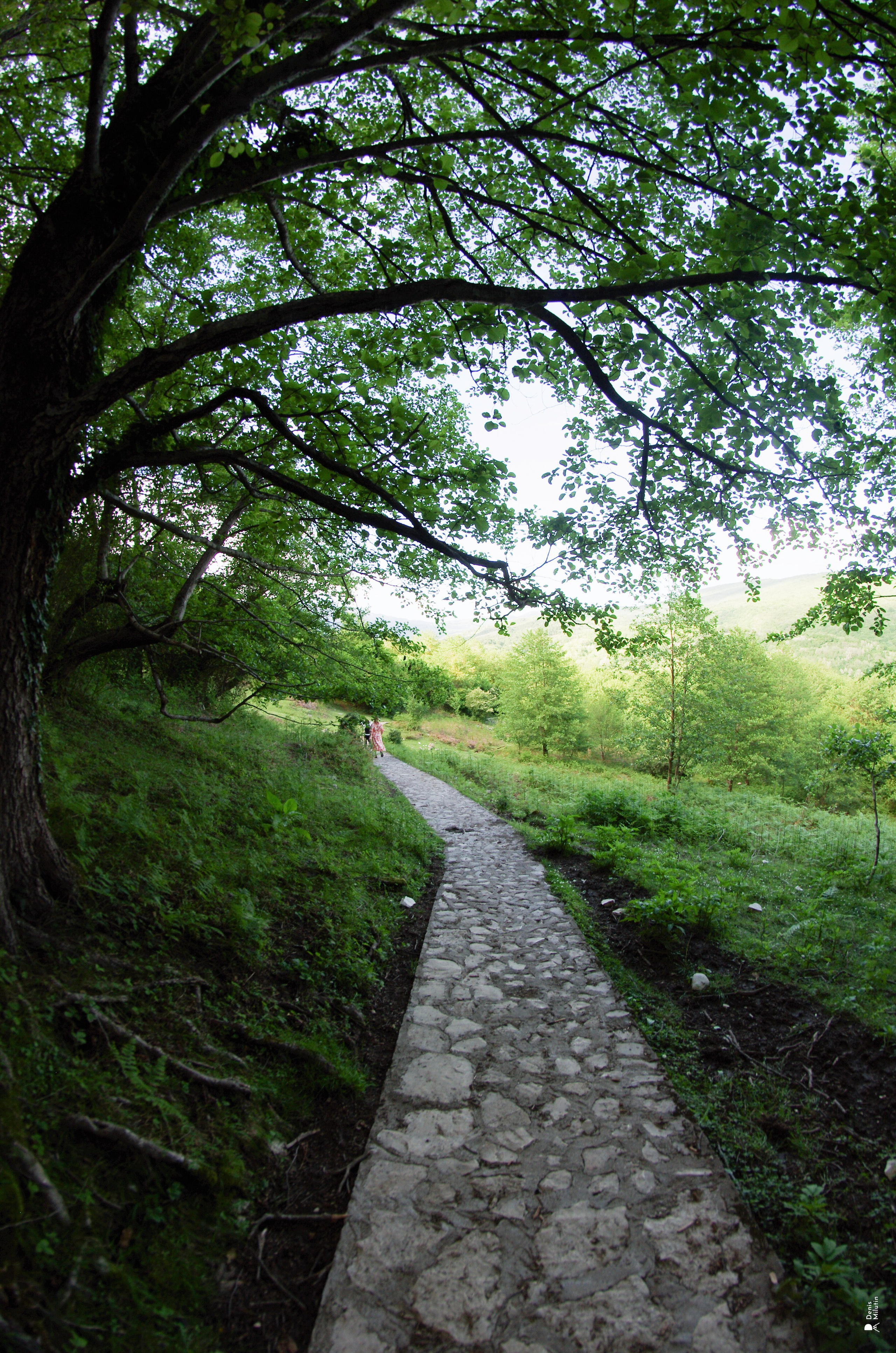 Каньон Окаце. Портретный фотограф Денис Милютин