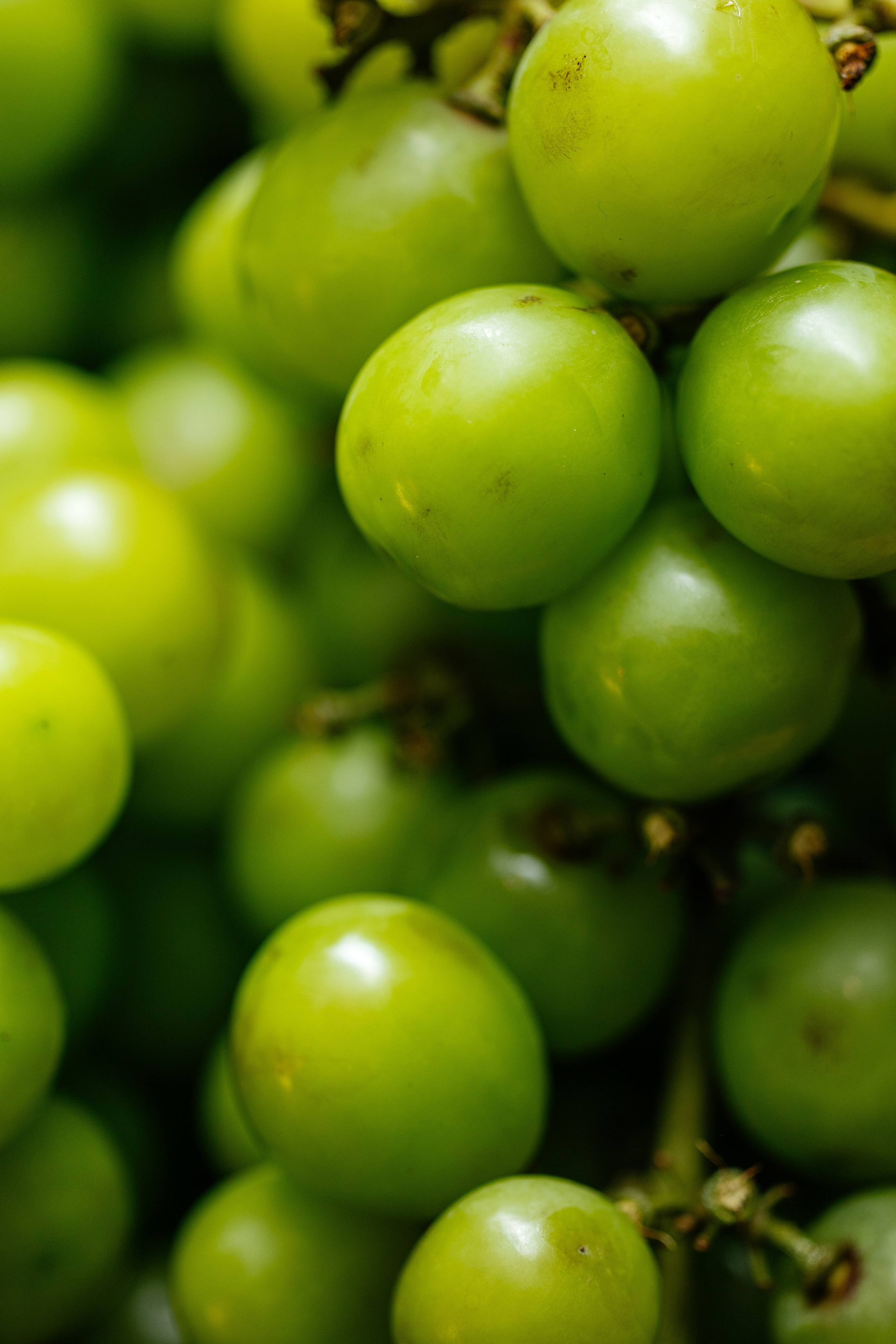 Репортаж. Фотограф Павел Рыжков