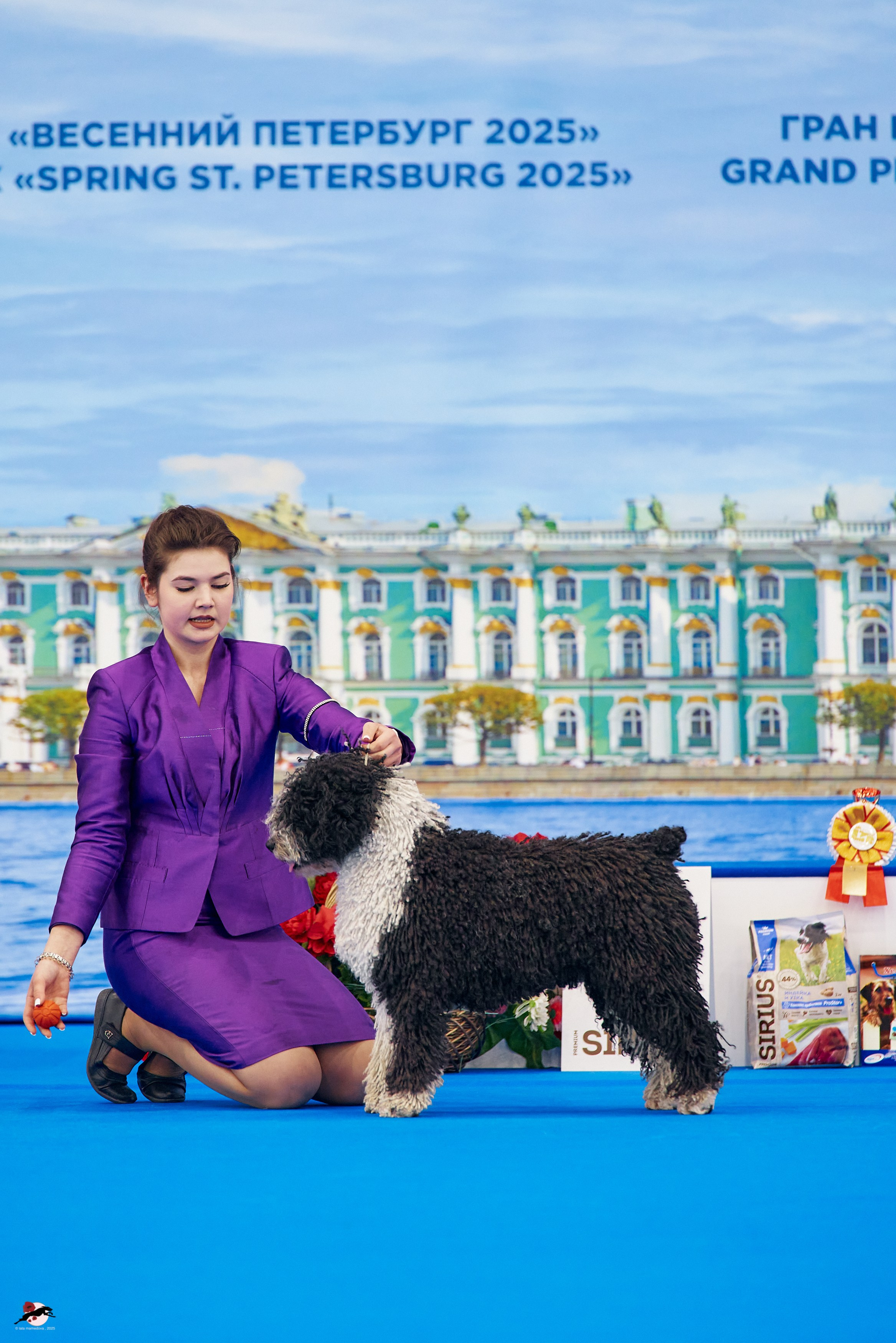 27.04.2025 | "Петербург-Элита 2025" & «КУБОК «ЭЛИТЫ»-2025»